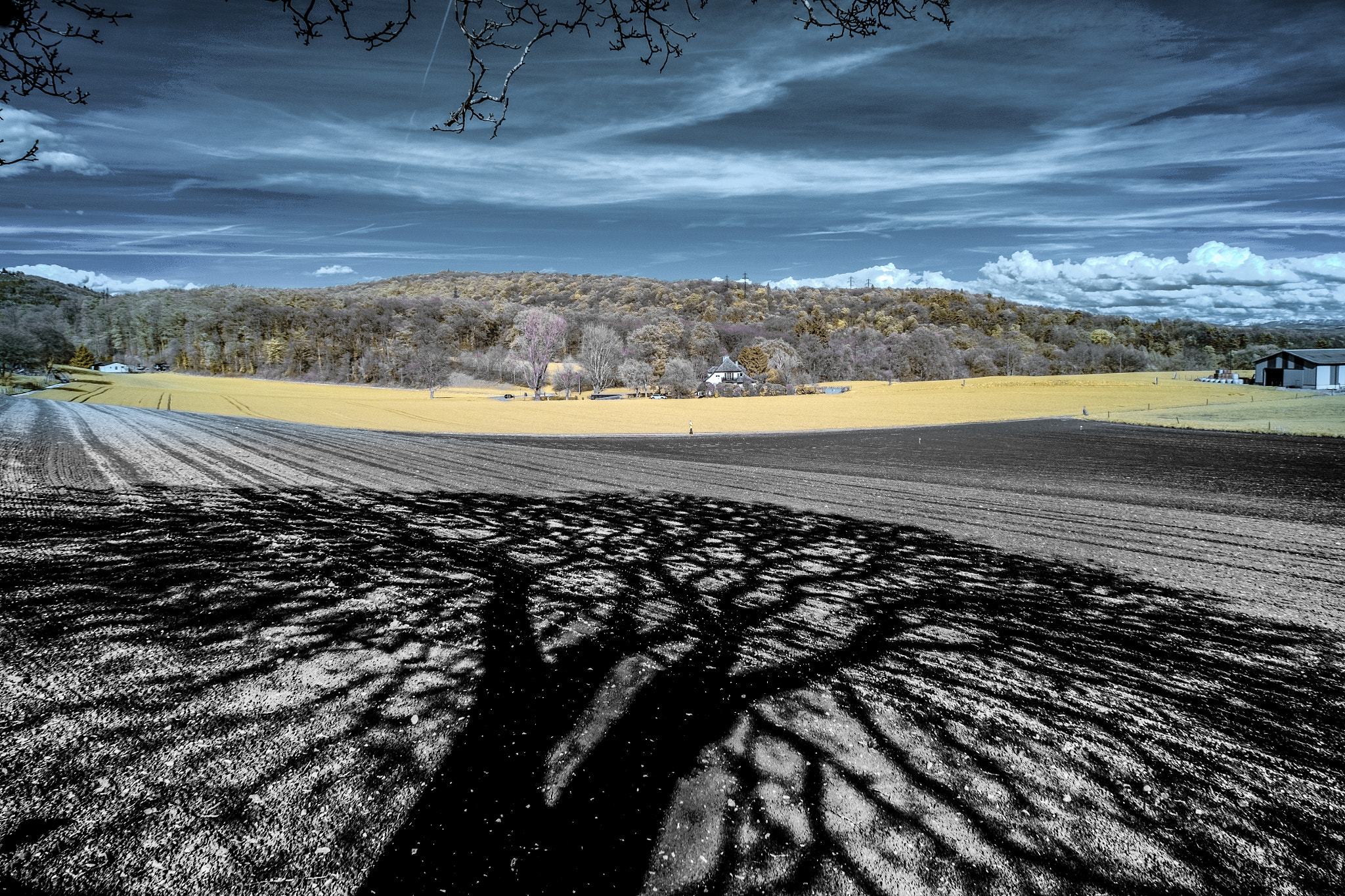 Fujifilm X-E1 + Fujifilm XF 18-135mm F3.5-5.6 R LM OIS WR sample photo. ...bigshadow... photography