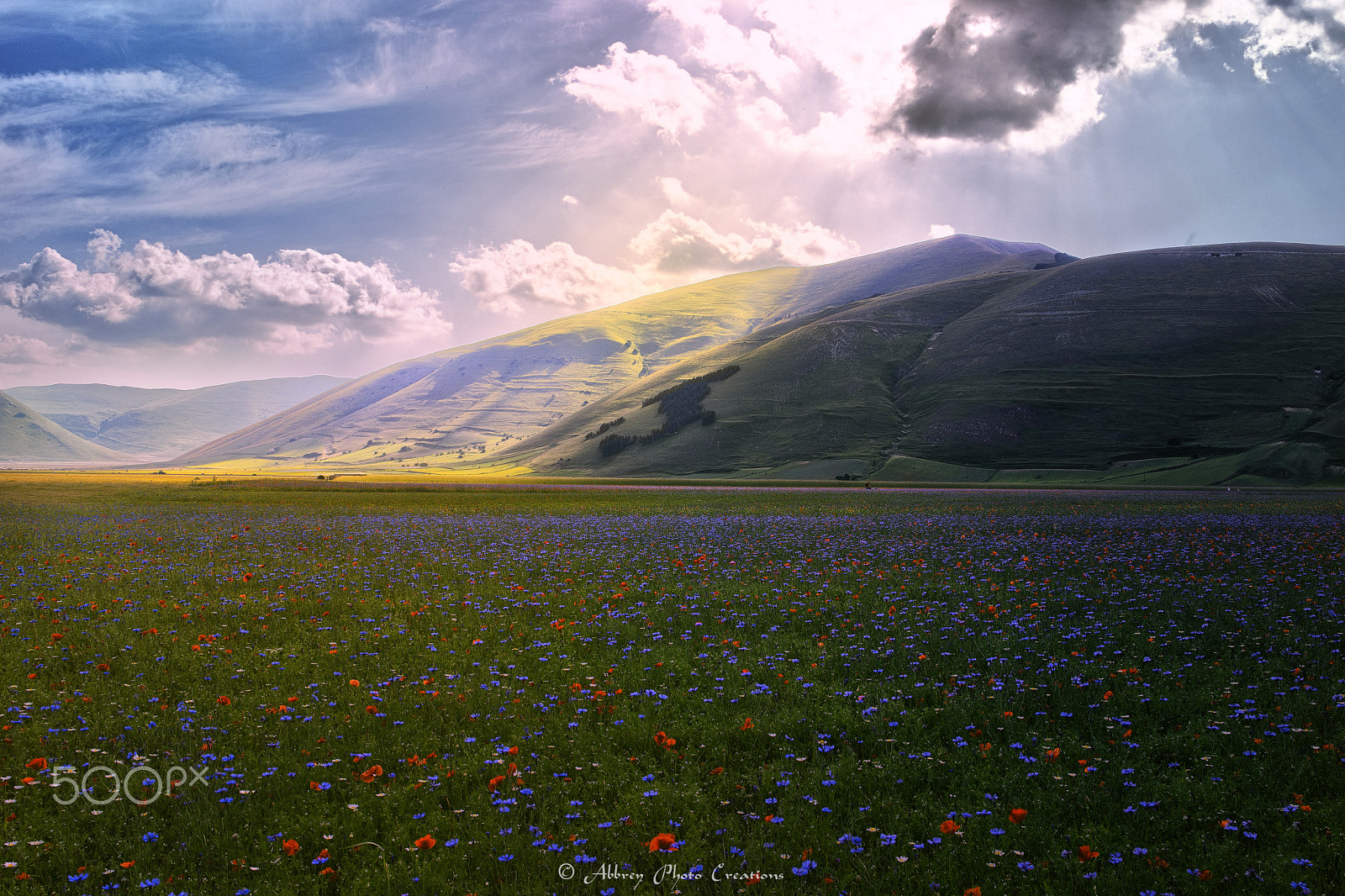 Sigma 17-70mm F2.8-4 DC Macro OS HSM | C sample photo. The colors of the plain photography
