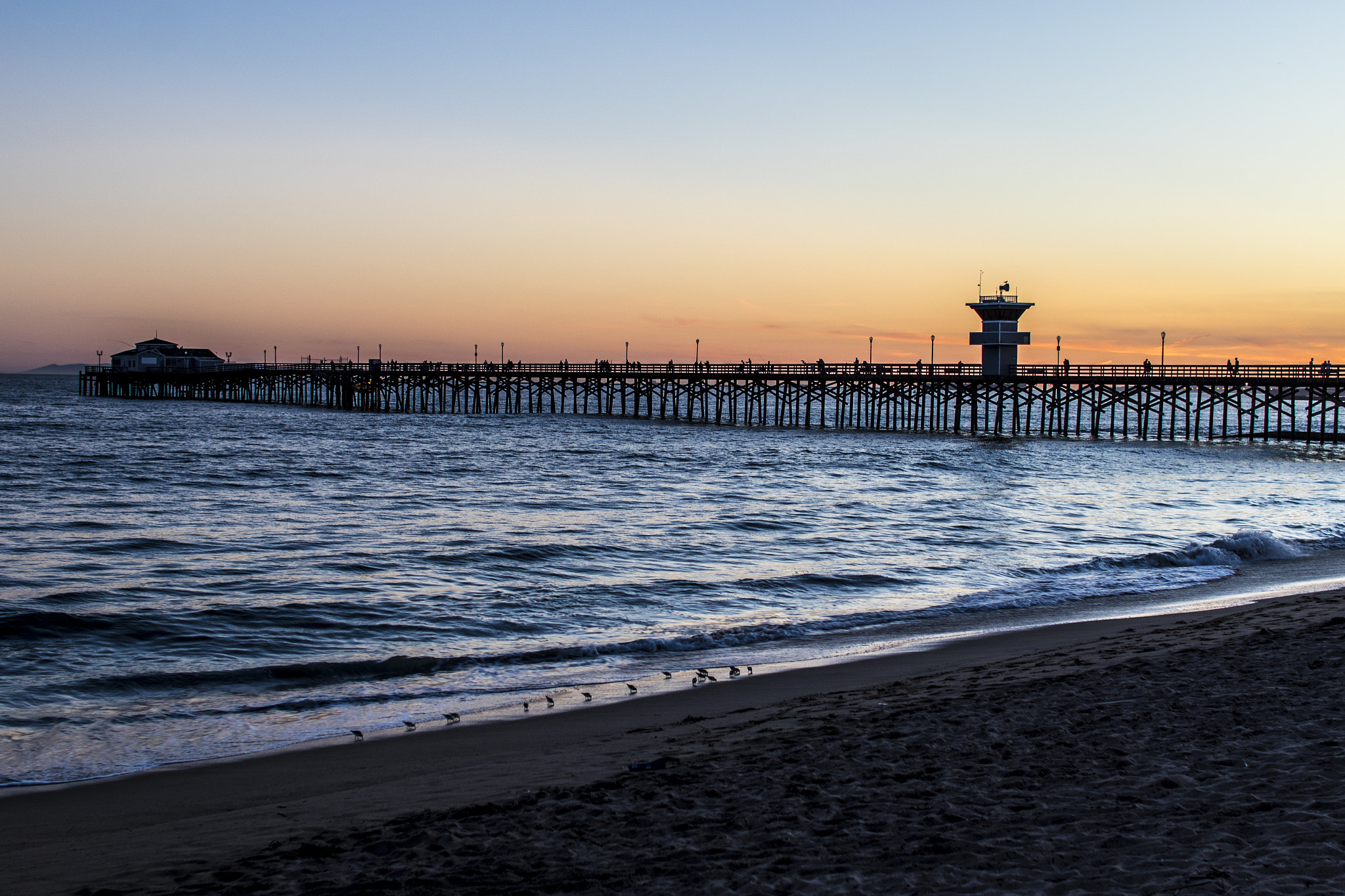 Sigma 30mm F1.4 EX DC HSM sample photo. Seal pier photography