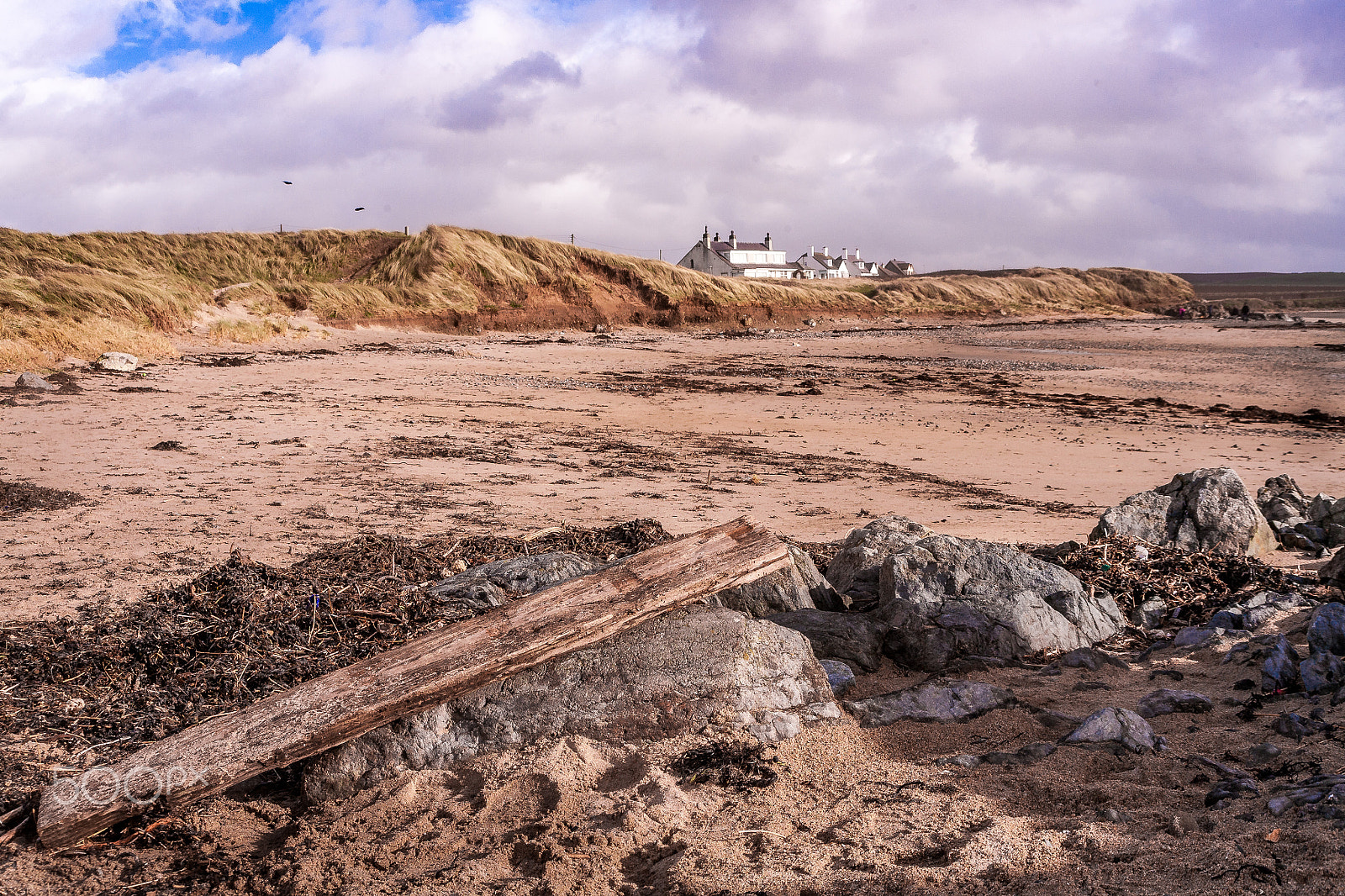 Canon EF 35-135mm f/4-5.6 USM sample photo. Driftwood photography