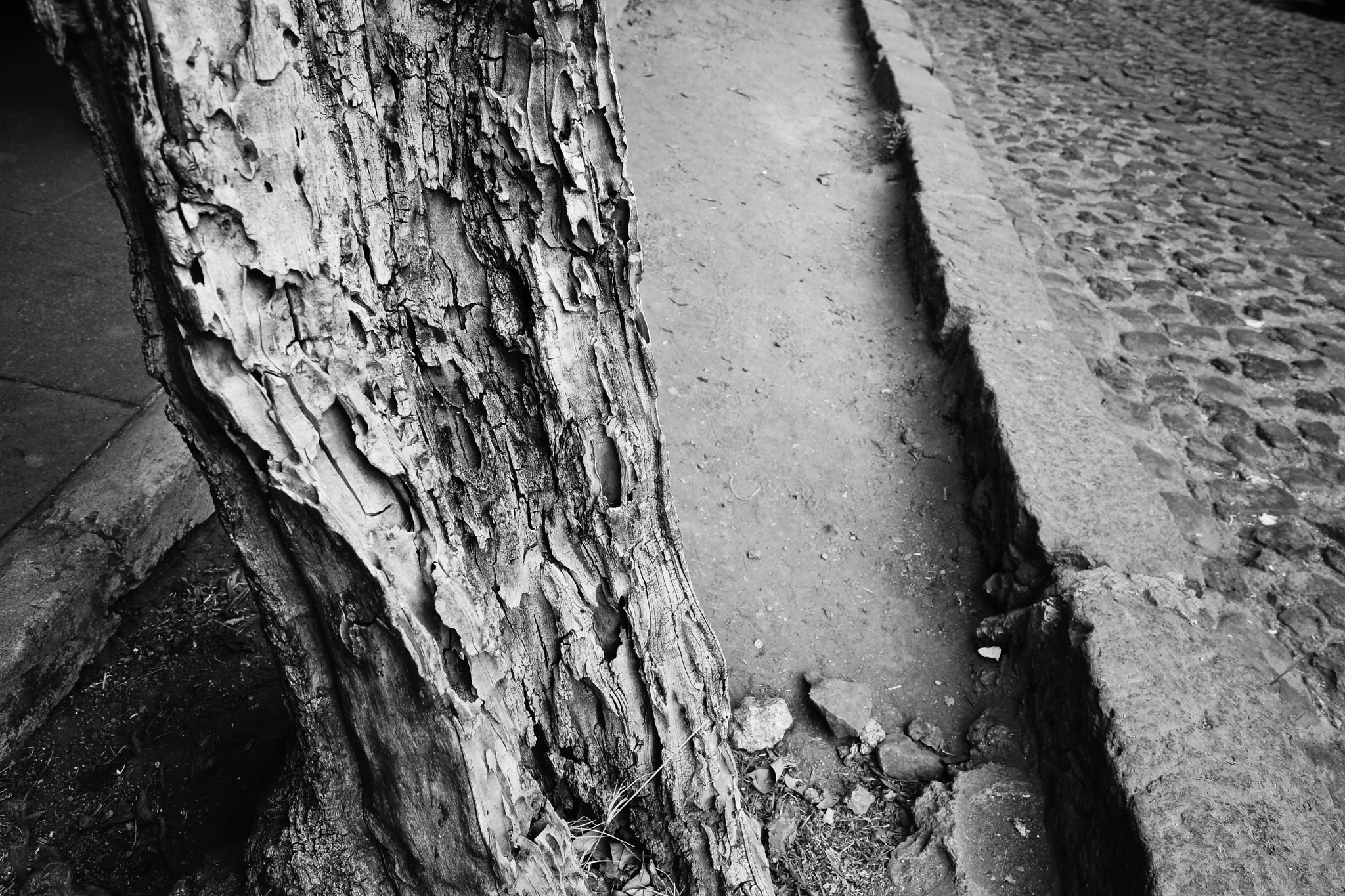 Sony SLT-A99V sample photo. Texturas en san Ángeles photography