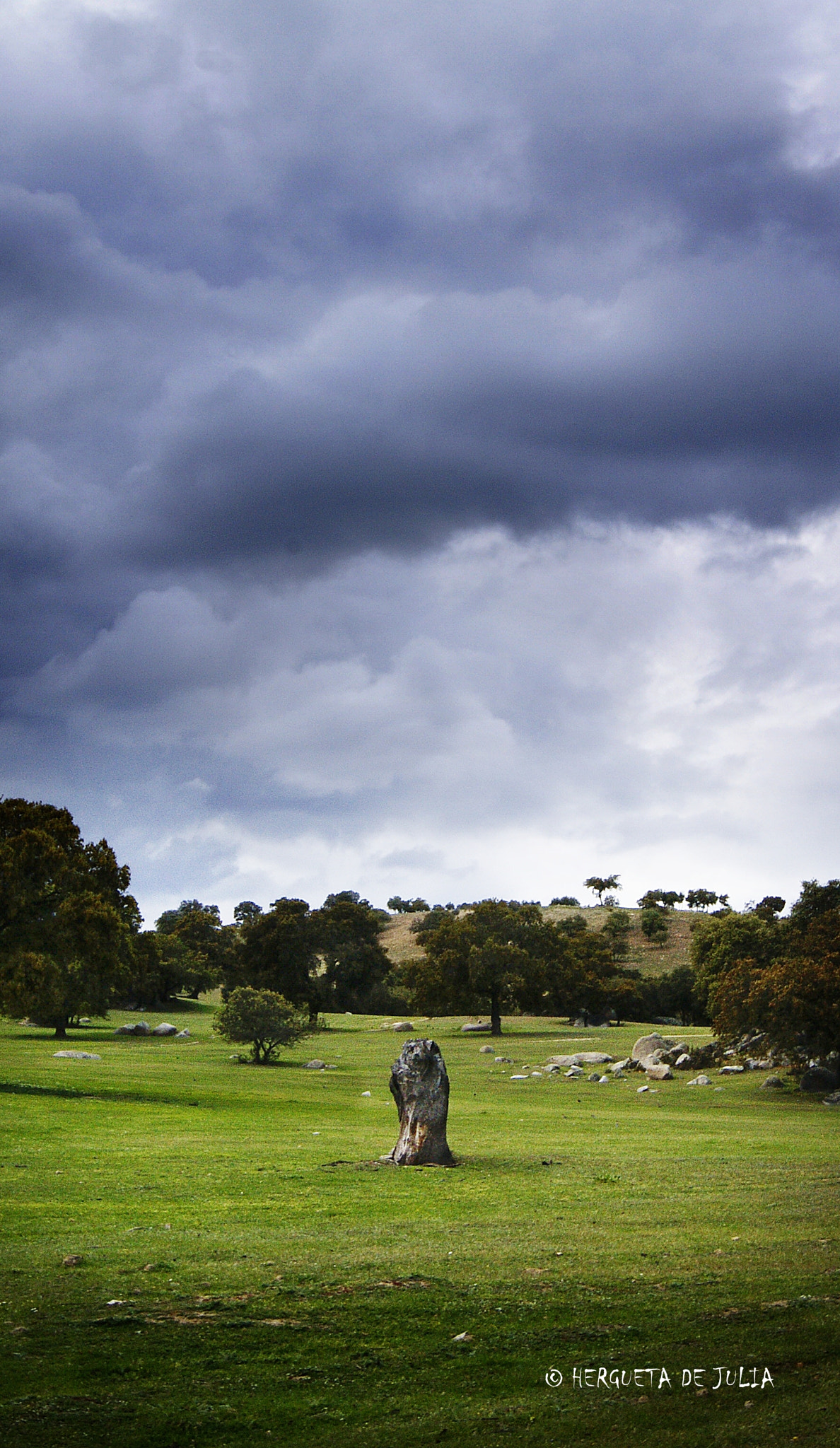 Sony Alpha DSLR-A380 sample photo. Solo. photography