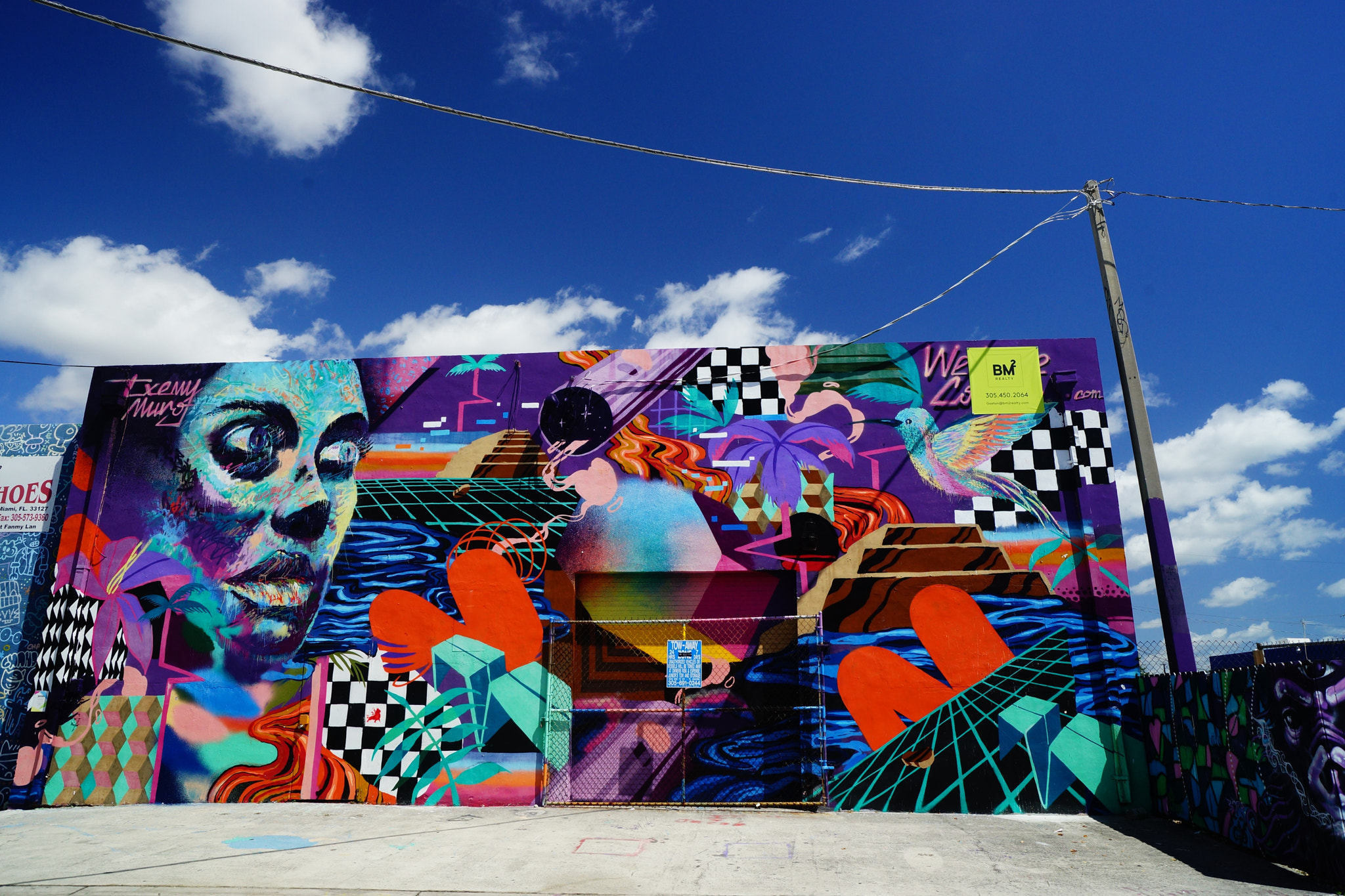 Sony SLT-A99V sample photo. Wynwood art photography