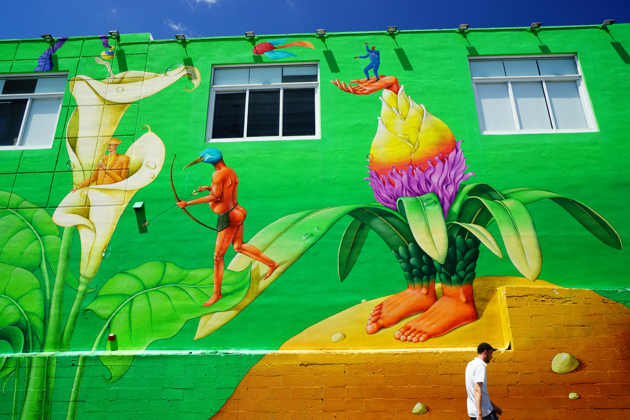 Sony SLT-A99V sample photo. Wynwood photography