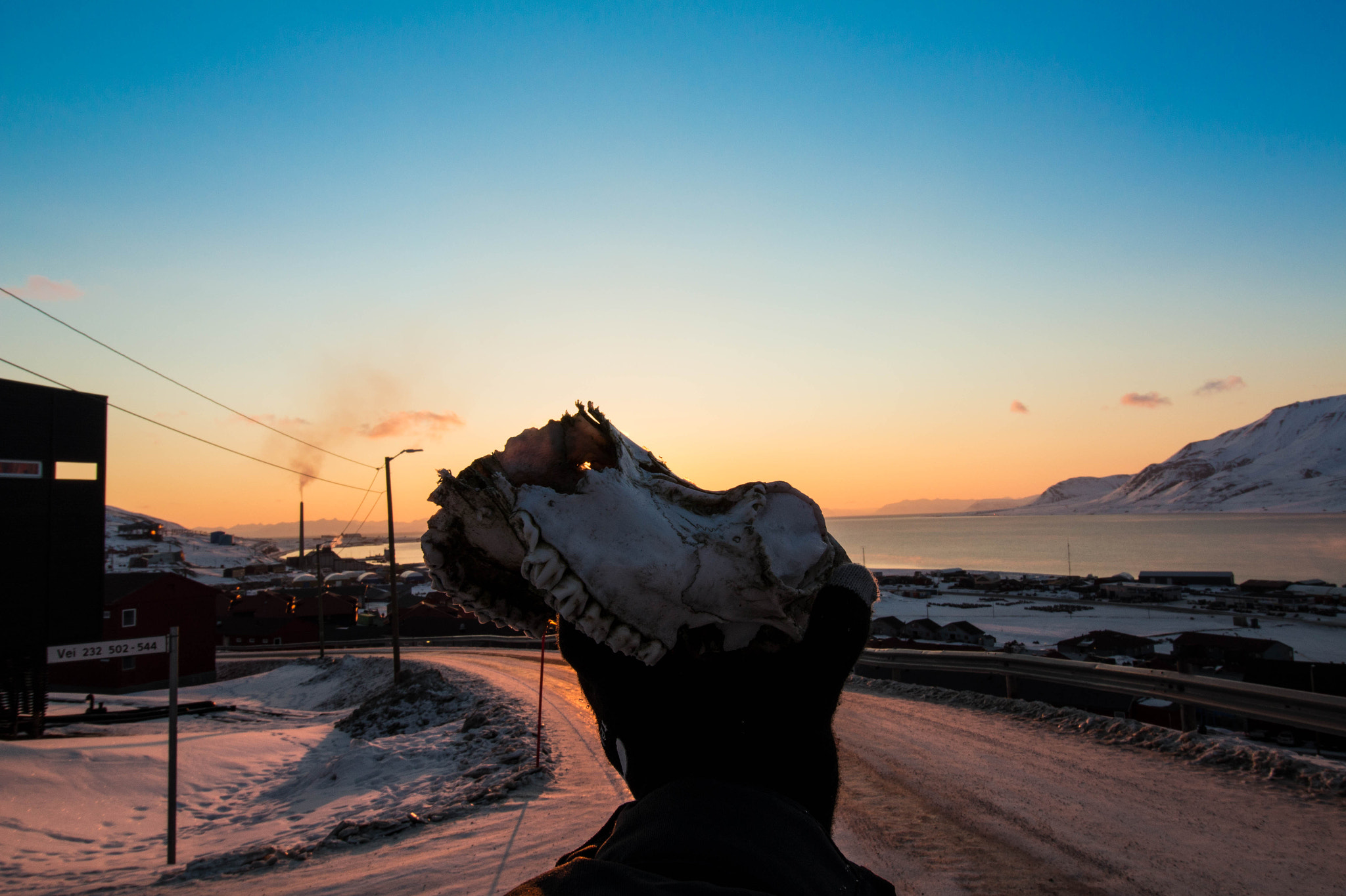 Canon EF-S 10-18mm F4.5–5.6 IS STM sample photo. Reindeer skull photography