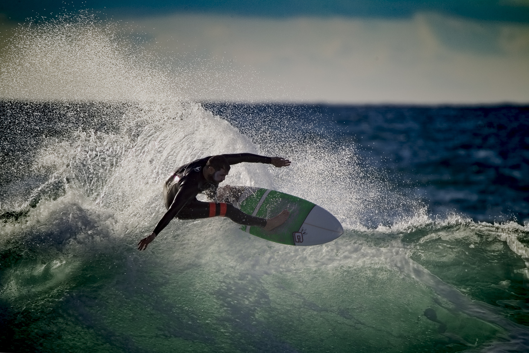 Sigma 150-600mm F5-6.3 DG OS HSM | C sample photo. ***** up***** photography