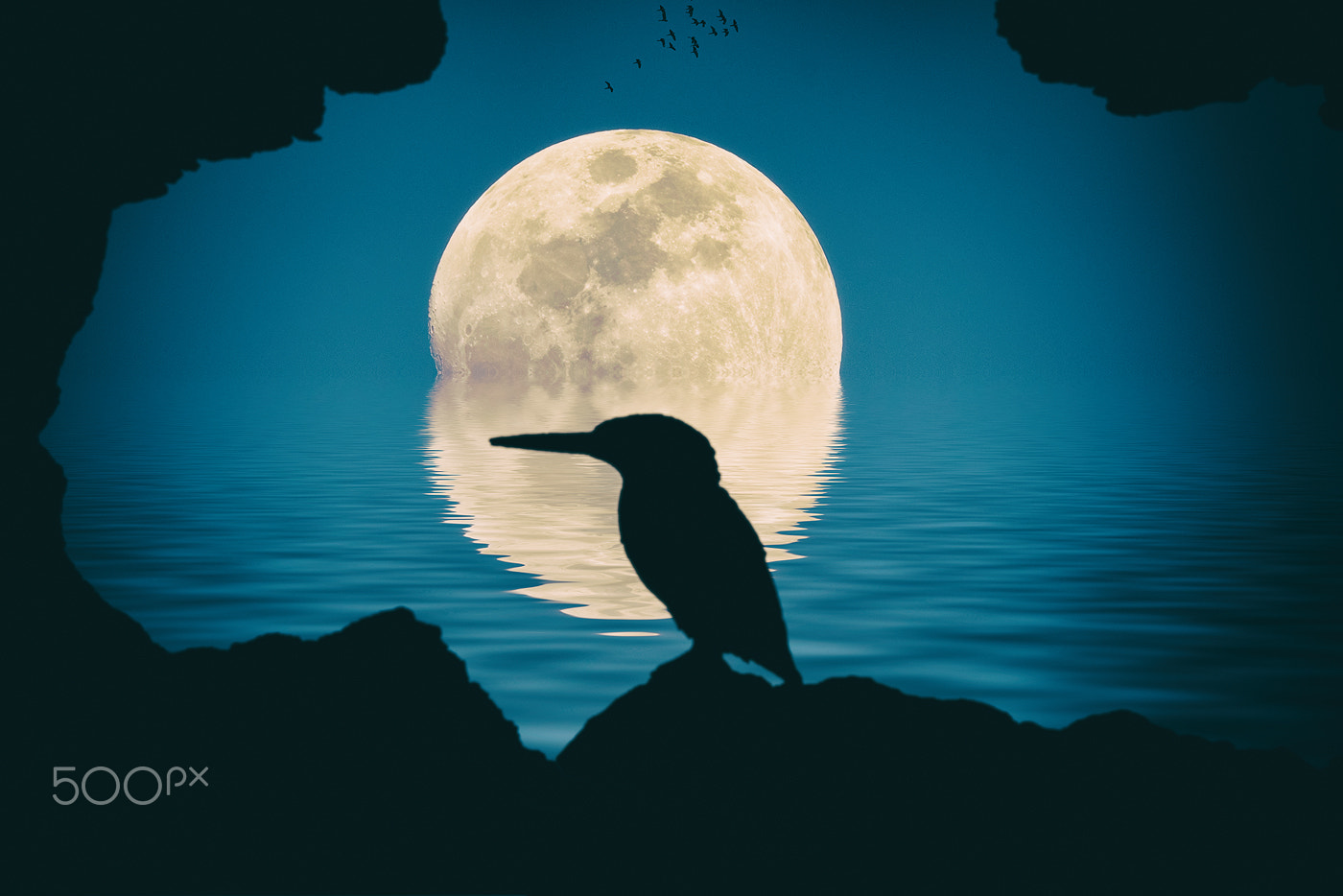 Sigma 150-600mm F5-6.3 DG OS HSM | C sample photo. The king and the moon photography