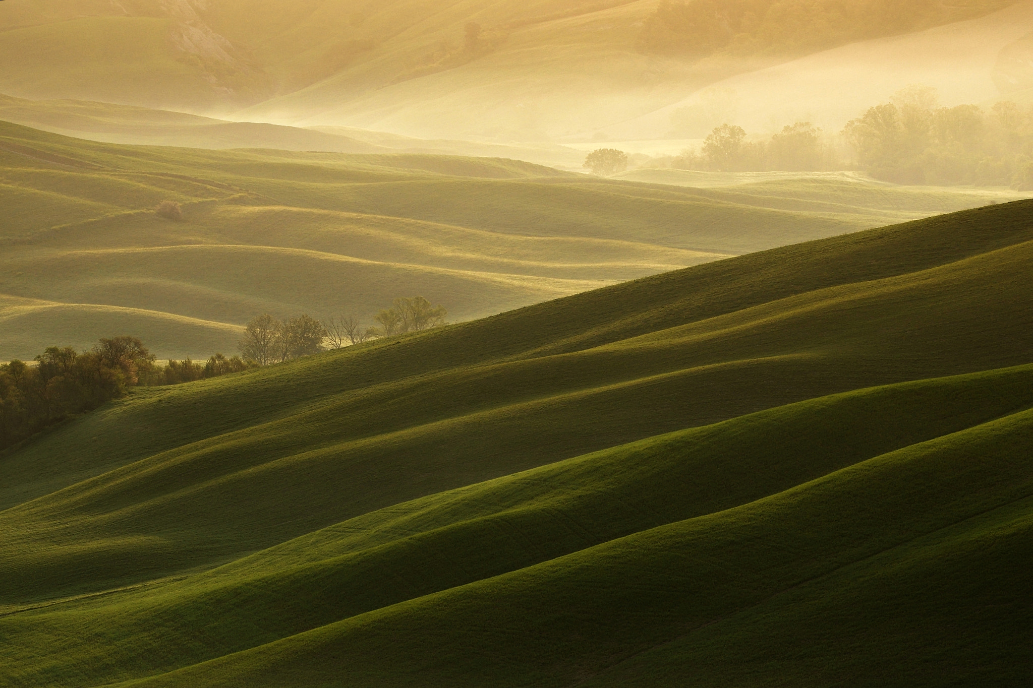 Sigma 150-600mm F5-6.3 DG OS HSM | C sample photo. Golden sunrise photography