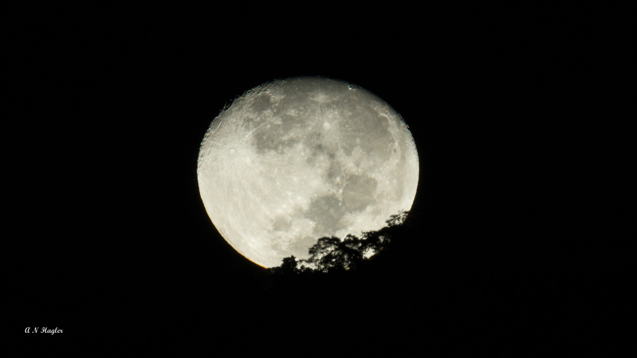 Sony SLT-A77 + Sony 500mm F8 Reflex sample photo. Moonset on atlantic forest photography