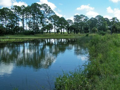Kodak Z650 ZOOM DIGITAL CAMERA sample photo. Pond landscape photography