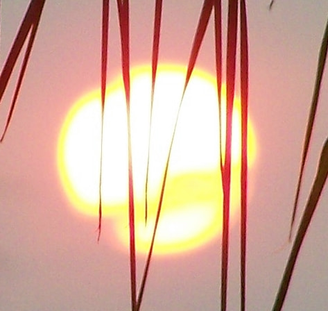 Kodak Z650 ZOOM DIGITAL CAMERA sample photo. Sunset photography