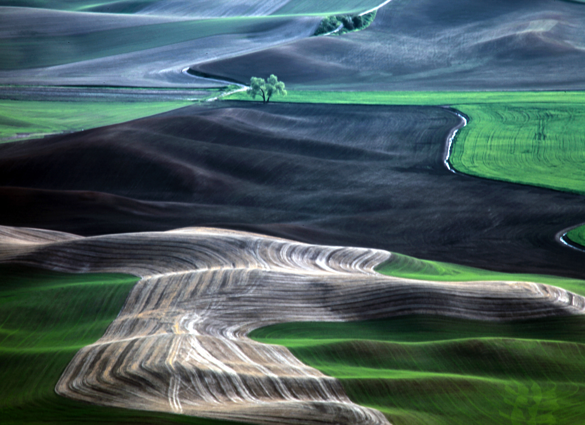 Canon EF 100-300mm F4.5-5.6 USM sample photo. Palouse, wa photography