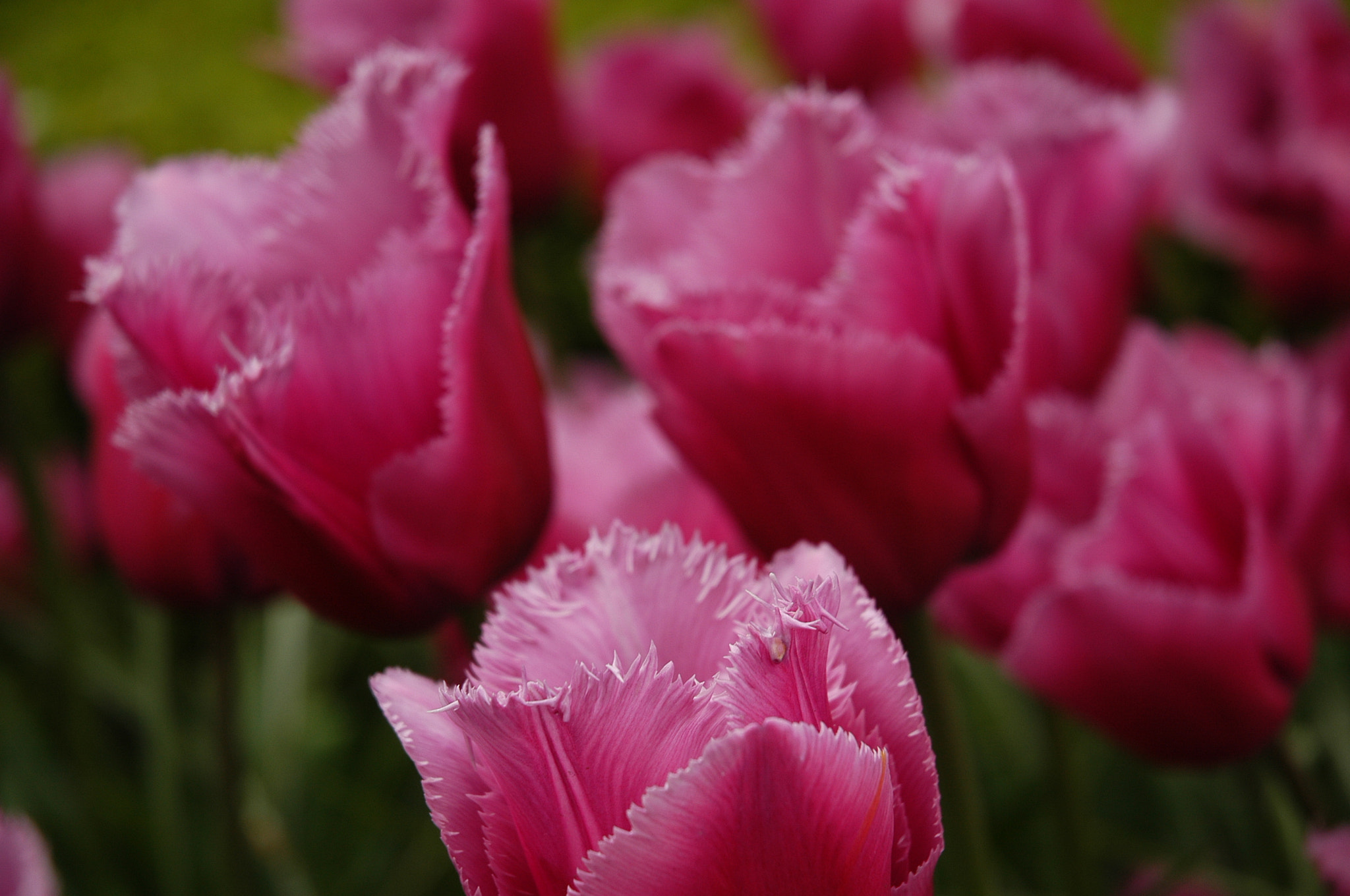 Nikon D100 sample photo. Untitled photography