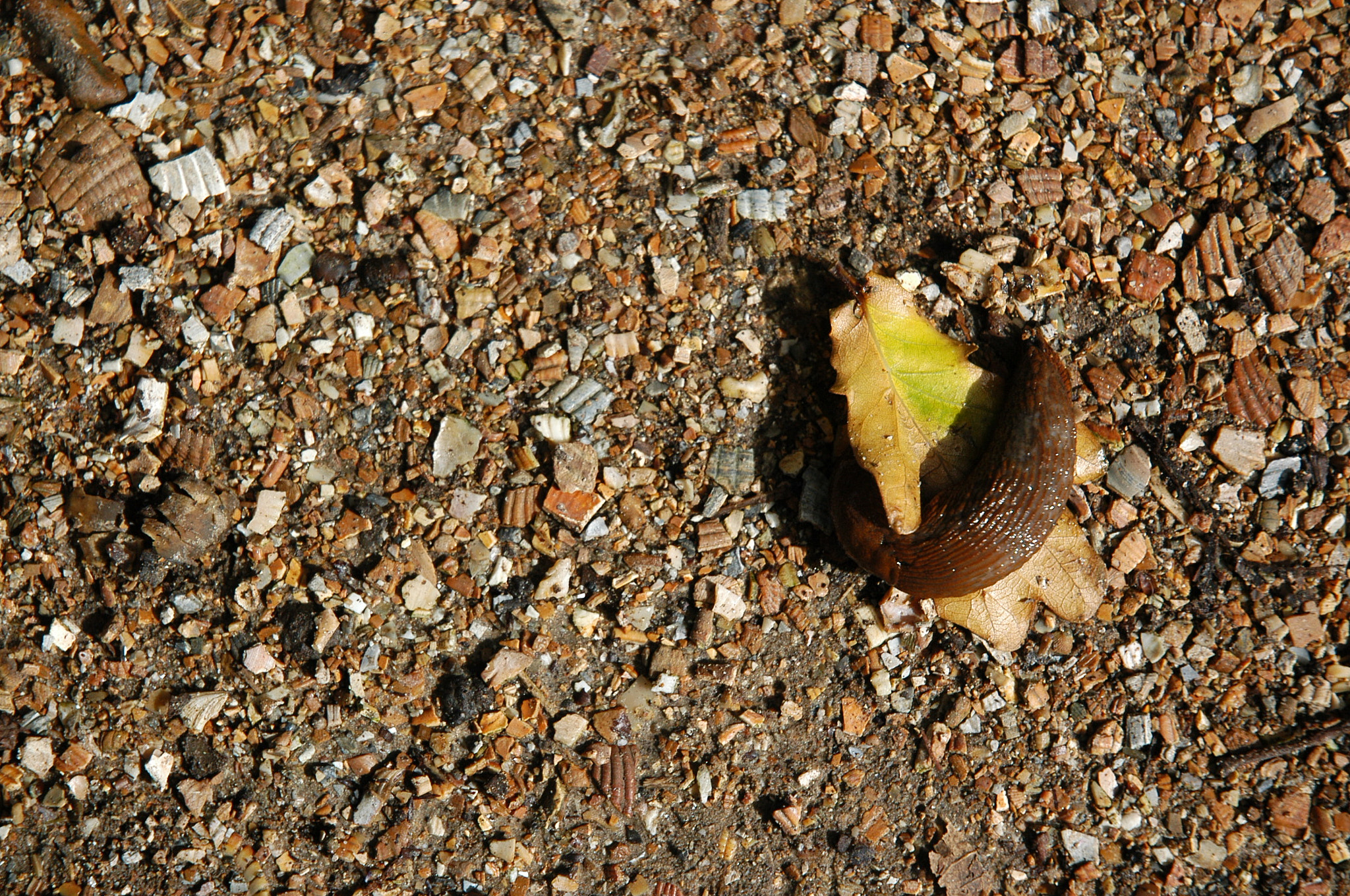 Nikon D100 sample photo