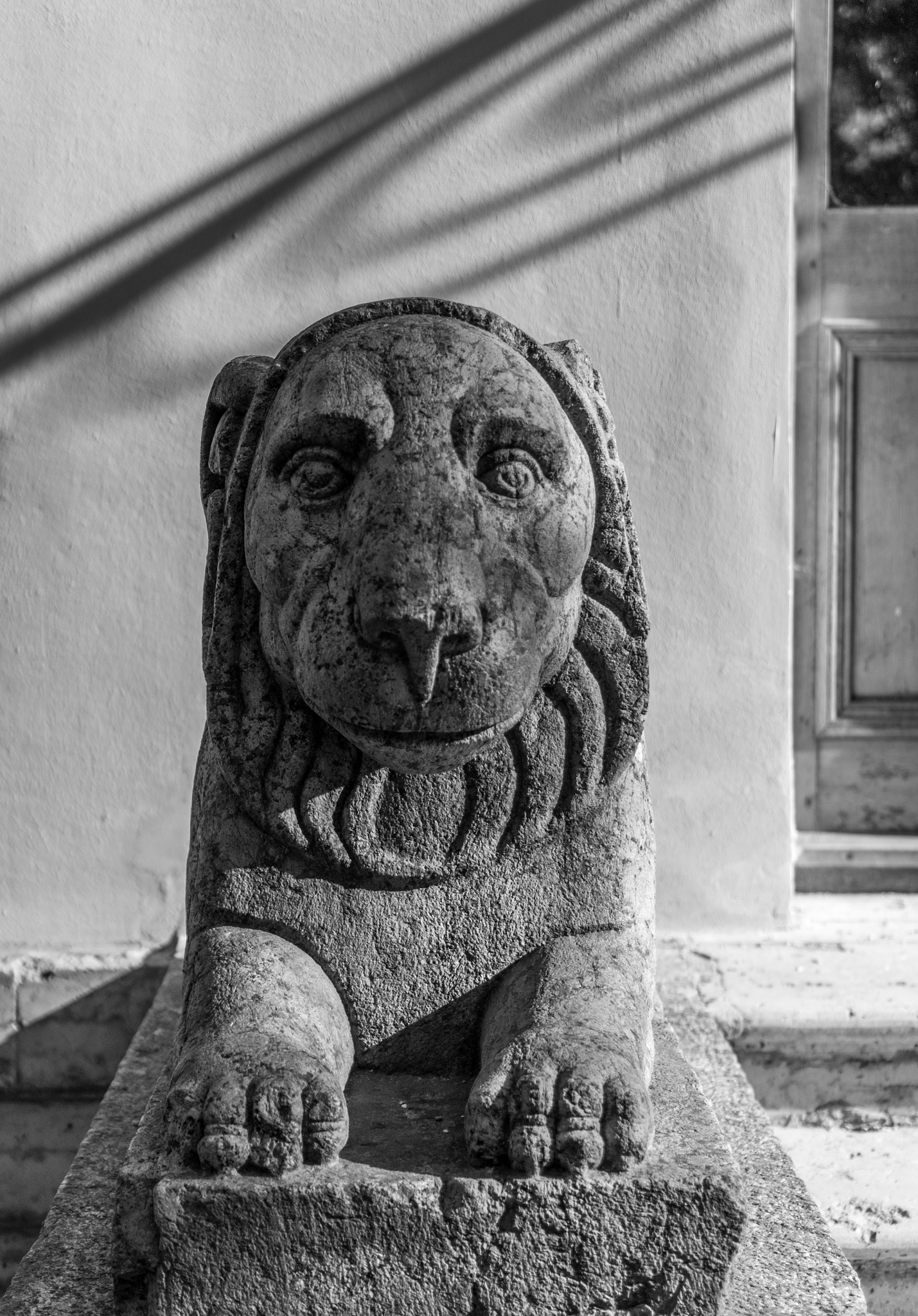 Sony E 35mm F1.8 OSS sample photo. Lion. photography