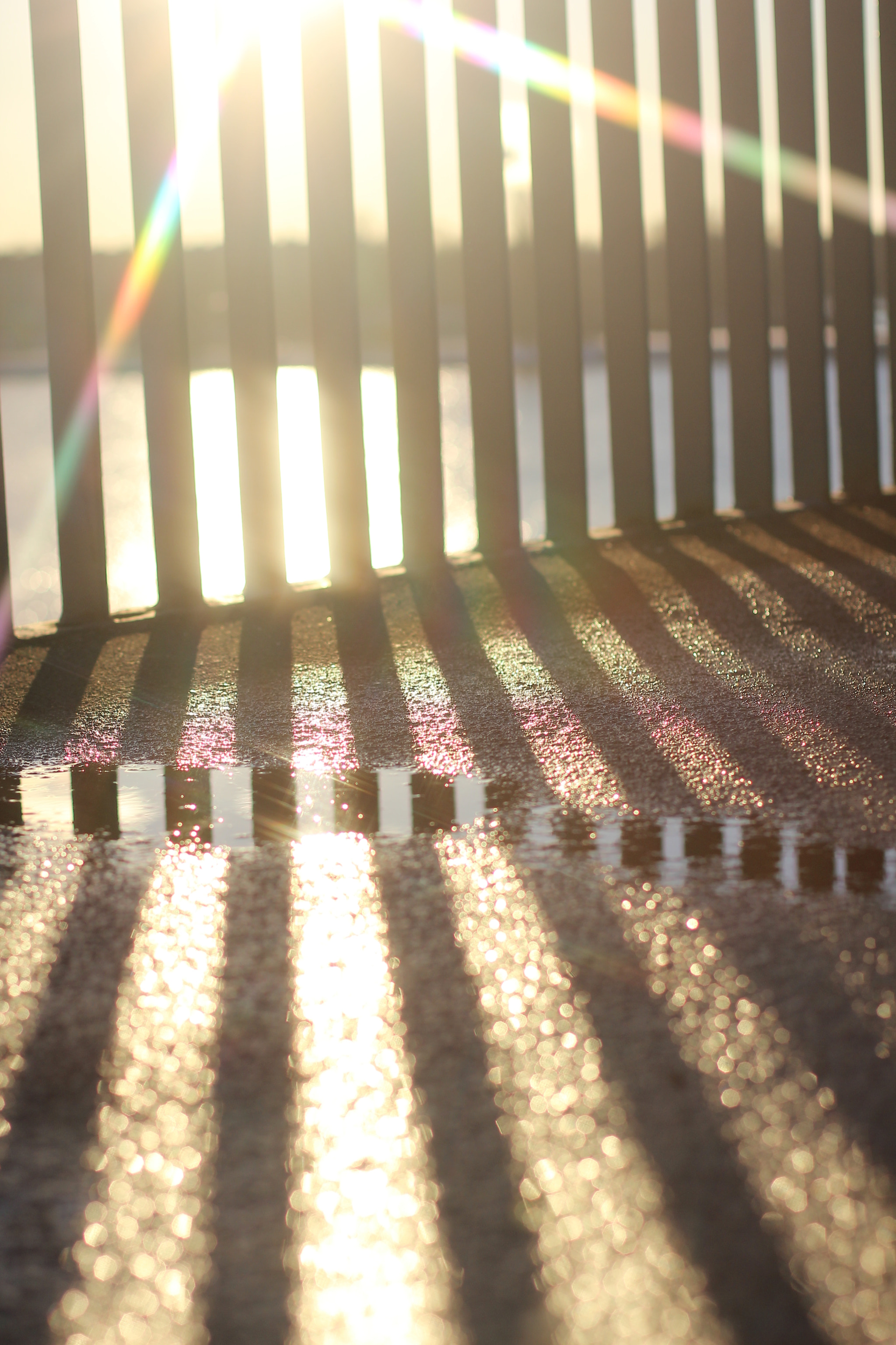 Canon EOS 600D (Rebel EOS T3i / EOS Kiss X5) + Canon EF 50mm F1.4 USM sample photo. Sunbeams refraction photography