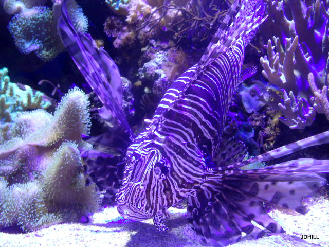GENERAL IMAGING CO. X400 sample photo