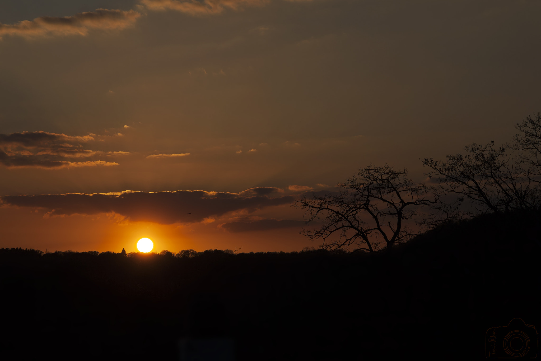 Sigma 24-105mm f/4 DG OS HSM | A sample photo. ☼ ☼ ☼ photography