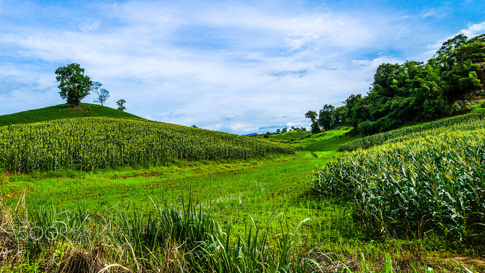 Elmarit-M 21mm f/2.8 sample photo. Land photography