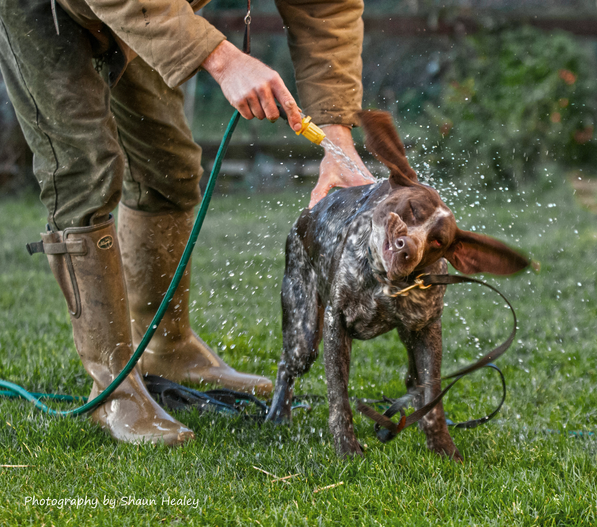 AF-S Zoom-Nikkor 80-200mm f/2.8D IF-ED sample photo. Hosing down photography