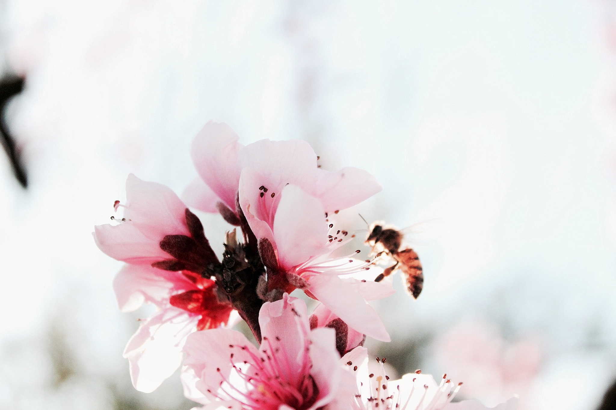 Canon EF-S 18-55mm F3.5-5.6 IS II sample photo. Tactus dei photography