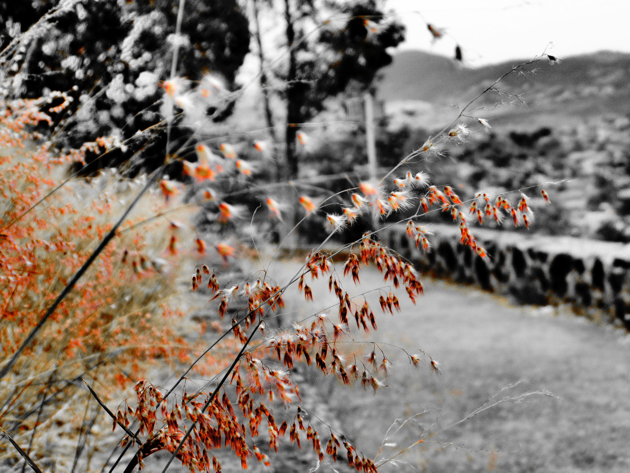 Samsung WB200F/WB201F/WB202F sample photo