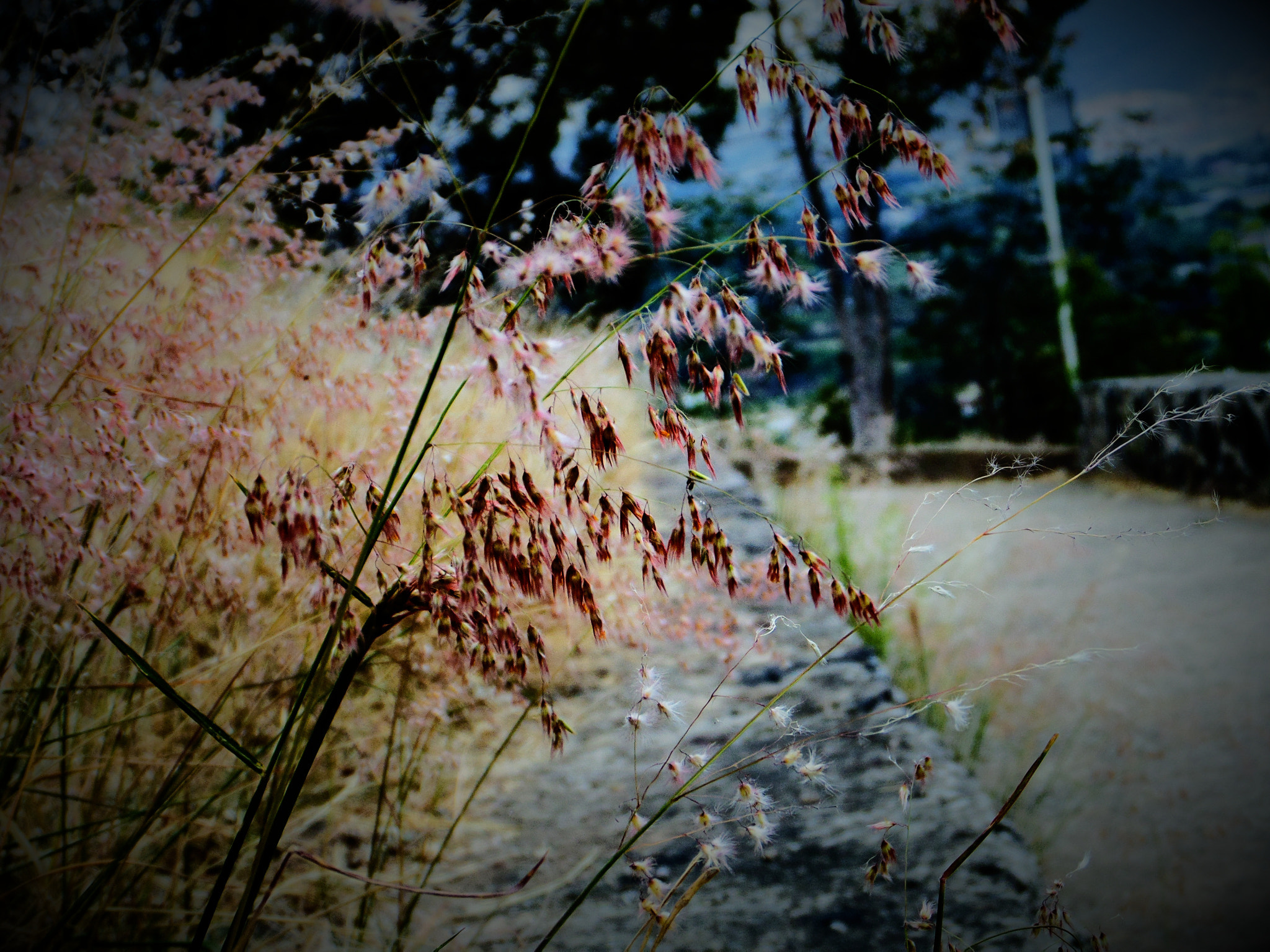 Samsung WB200F/WB201F/WB202F sample photo