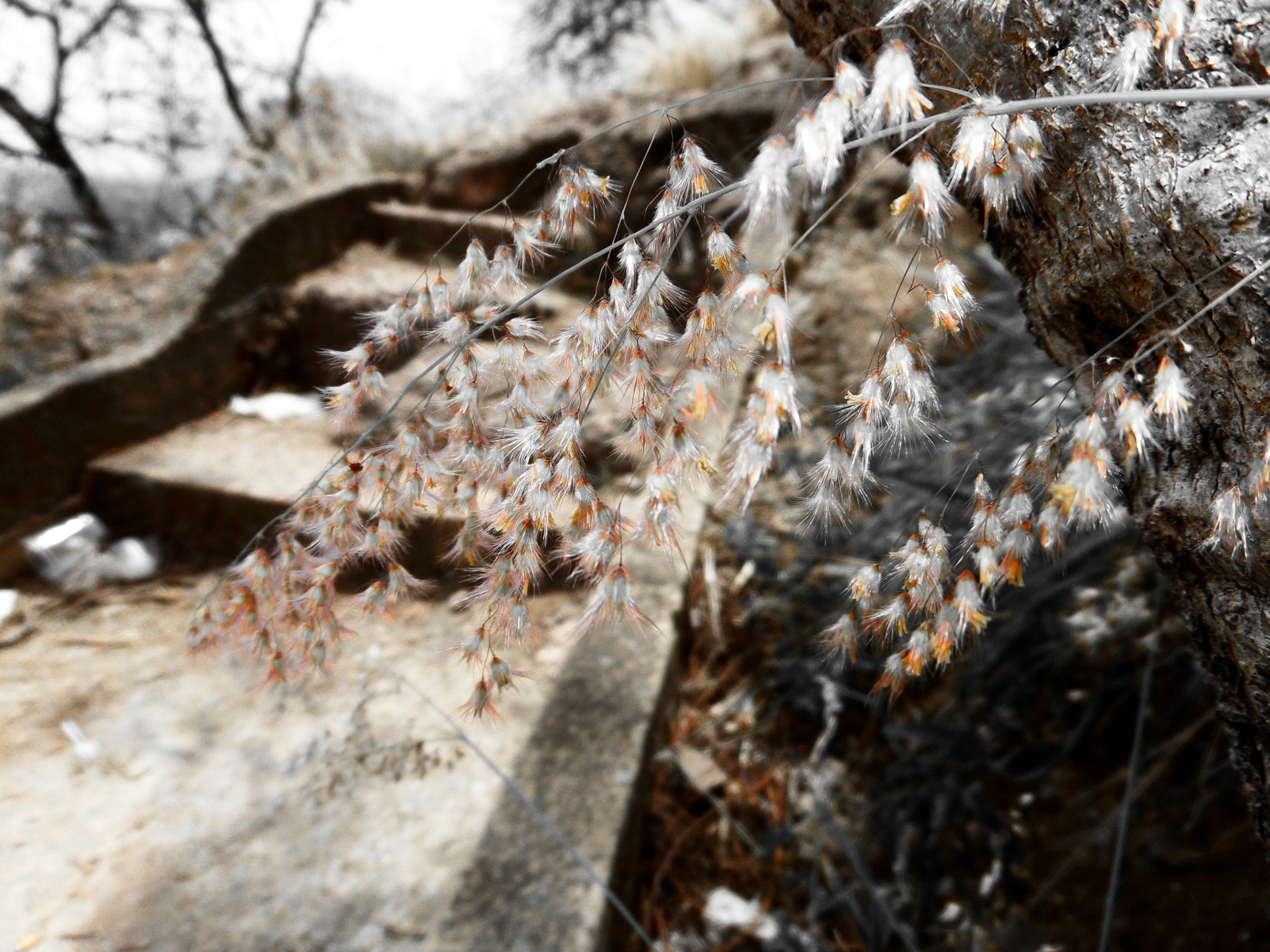 Samsung WB200F/WB201F/WB202F sample photo