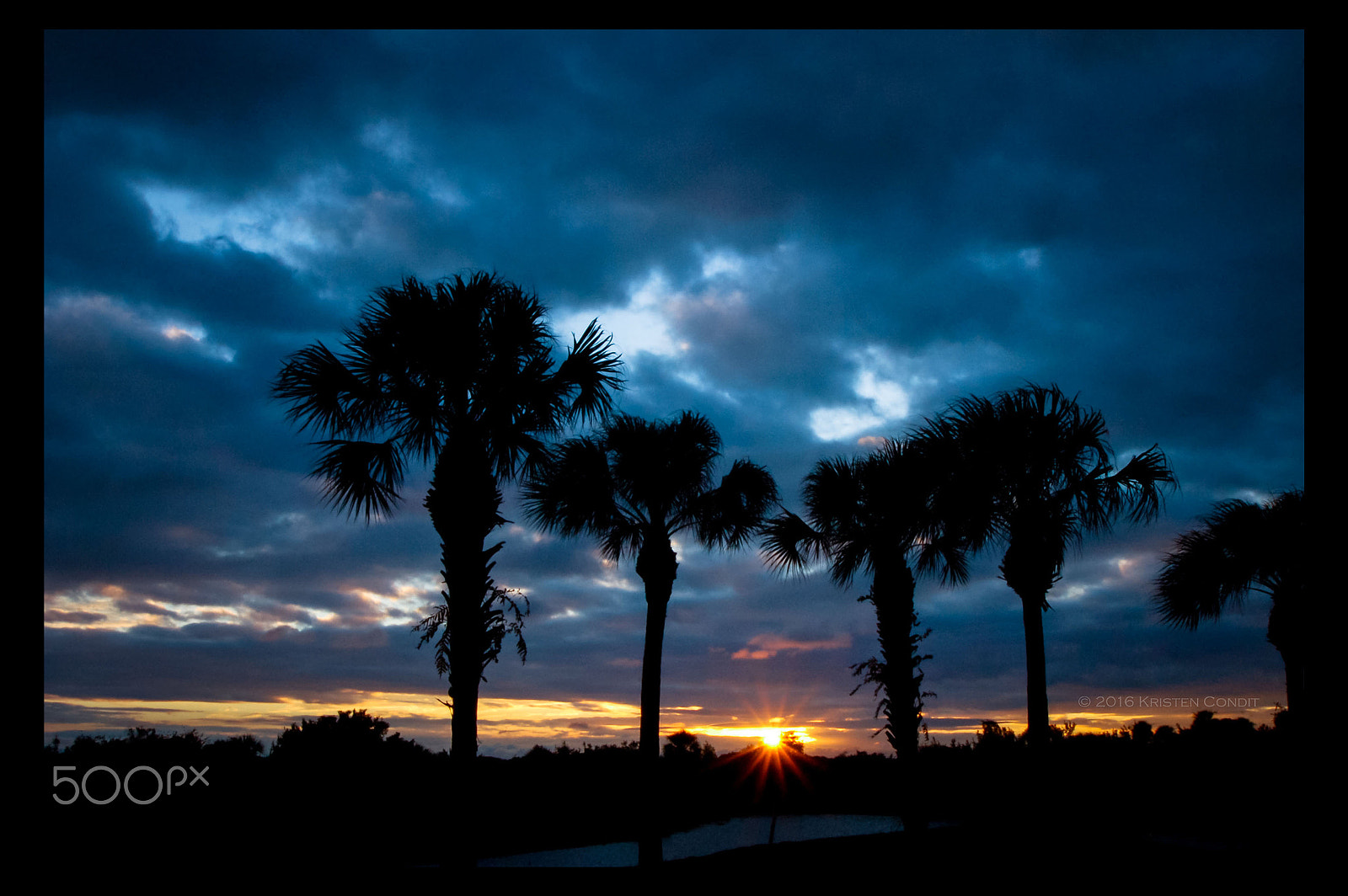 Nikon D50 sample photo. Sarasota sunset photography