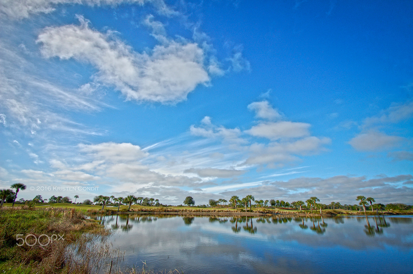 Nikon D50 sample photo. Sarasota blue sky photography