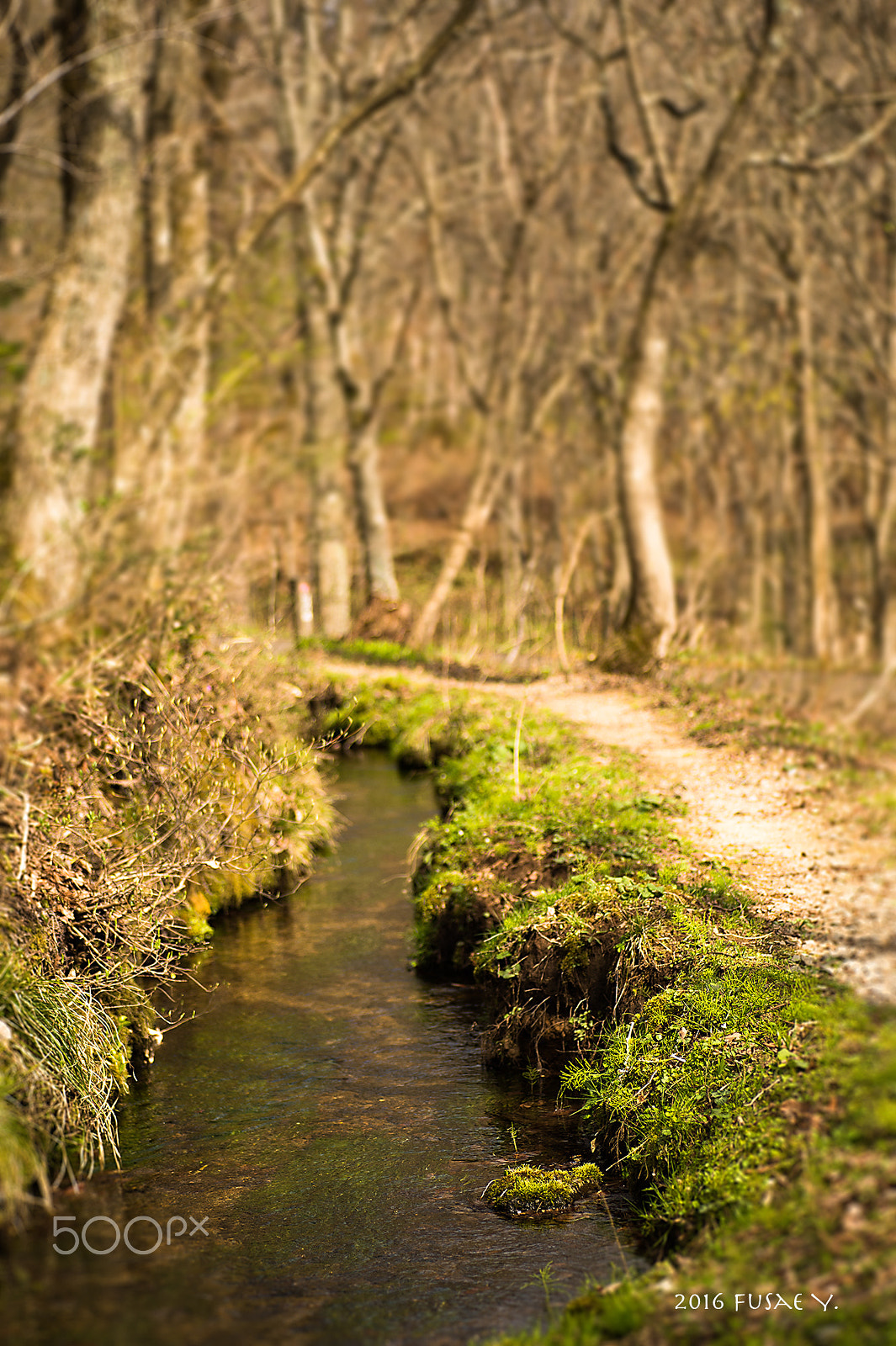 Nikon Df sample photo. Creek photography