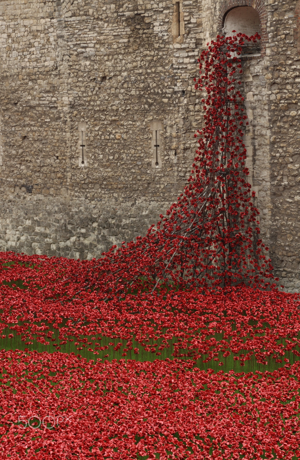 Canon EOS 600D (Rebel EOS T3i / EOS Kiss X5) + Canon EF-S 18-135mm F3.5-5.6 IS STM sample photo. Tower of london poppies photography