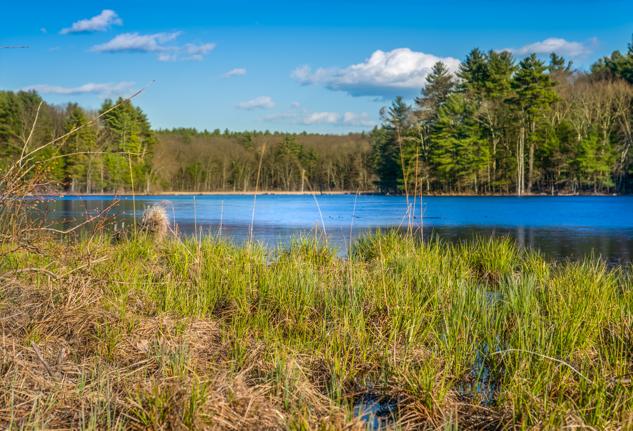 Sony a6300 + Sony FE 28-70mm F3.5-5.6 OSS sample photo. Spring in massachusetts photography