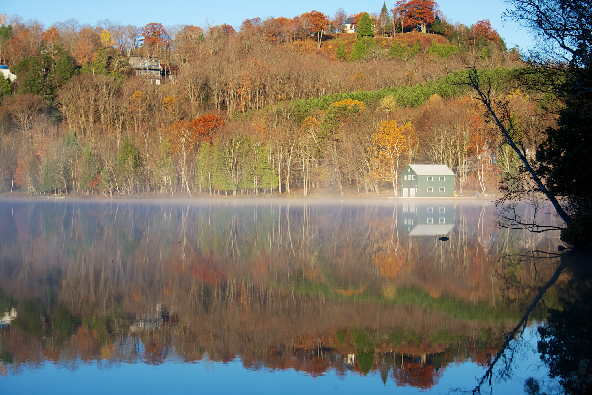 Canon EOS 40D sample photo. Fog photography