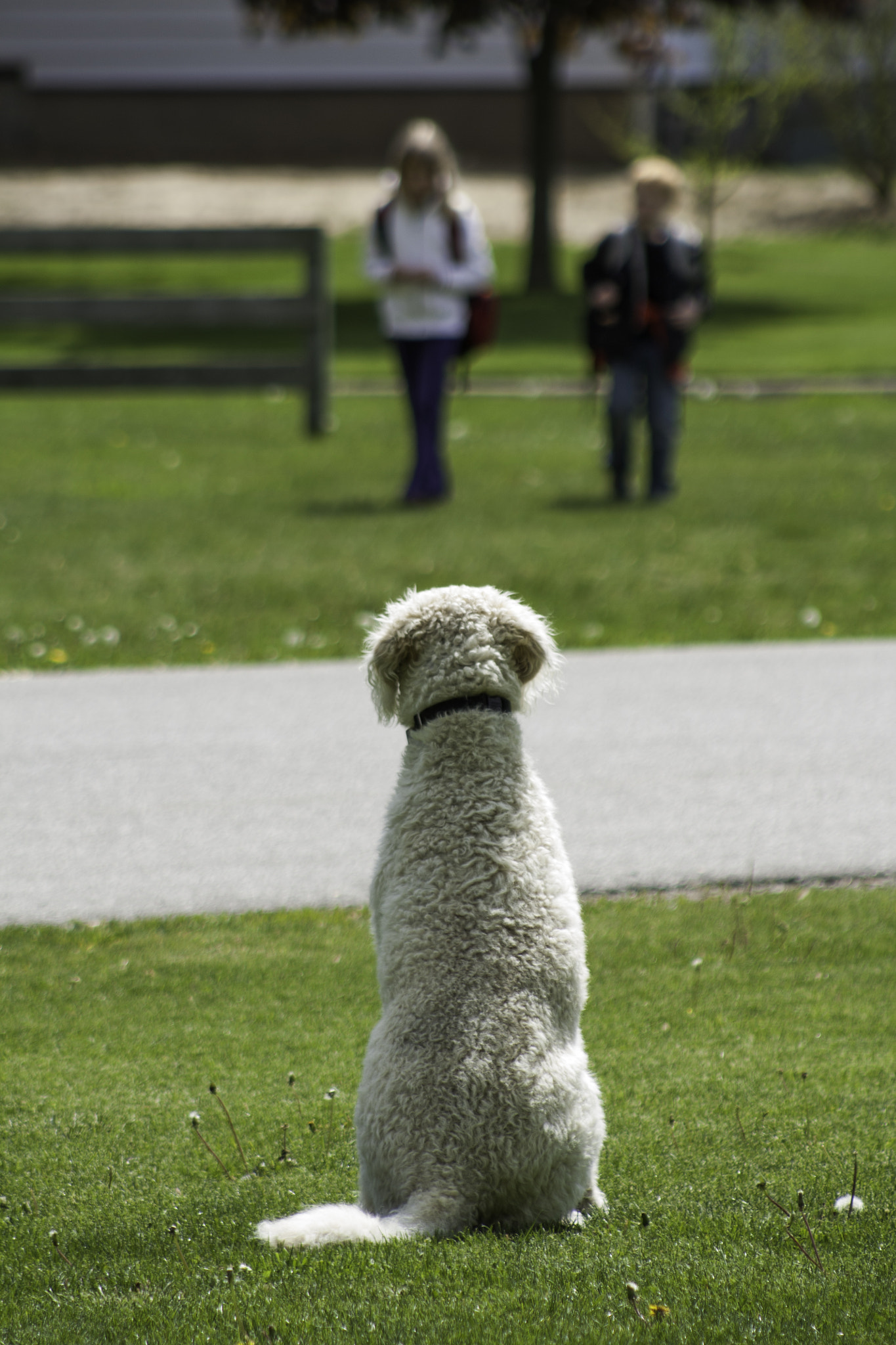 Canon EF 75-300mm f/4-5.6 USM sample photo. Alfie kids photography