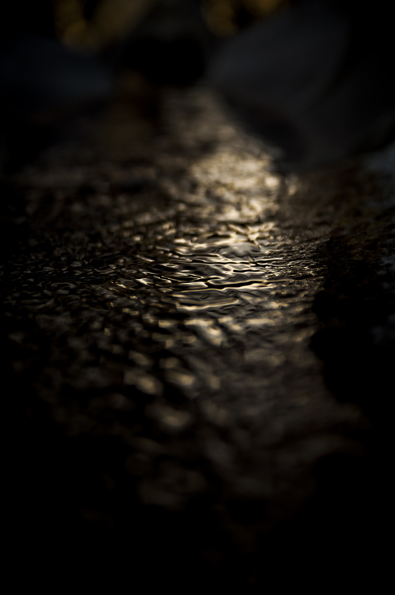 Nikon D2X + Sigma 18-50mm F2.8 EX DC Macro sample photo. 20160228_nara photography