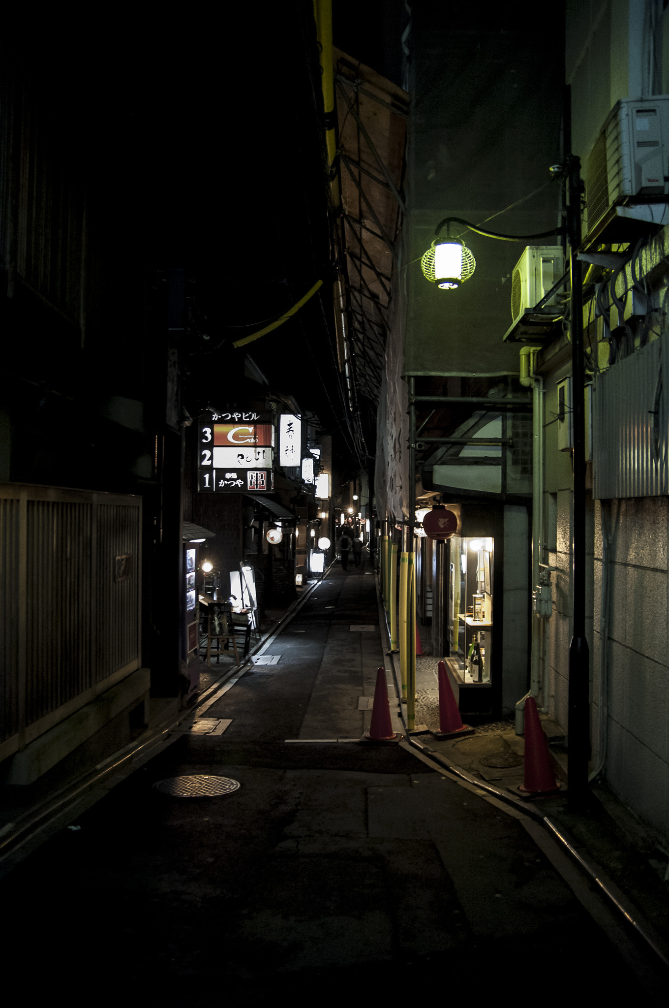 Nikon D2X + Sigma 18-50mm F2.8 EX DC Macro sample photo. 20160229_kyoto photography