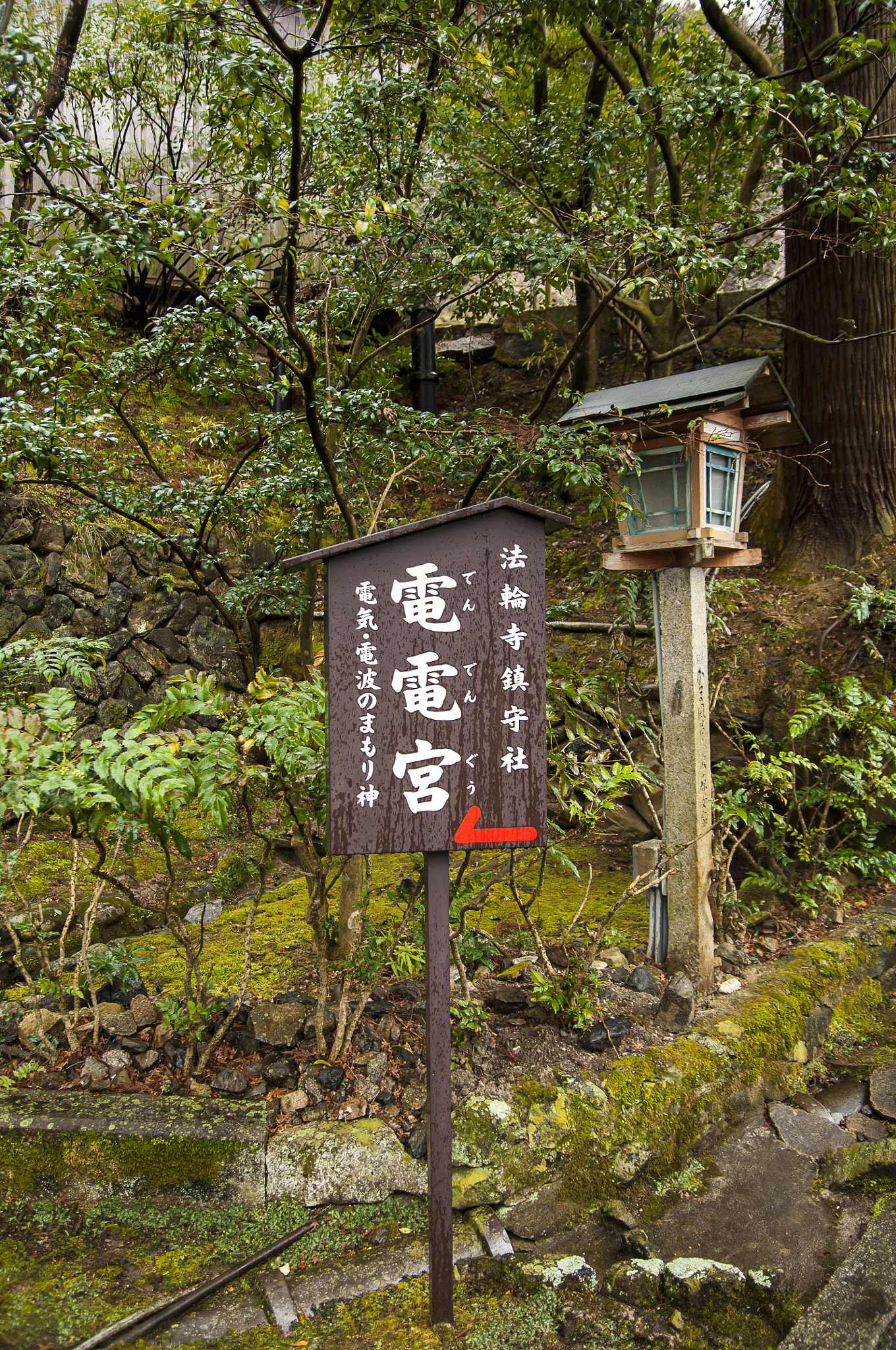 Nikon D2X + Sigma 18-50mm F2.8 EX DC Macro sample photo. 20160229_kyoto photography