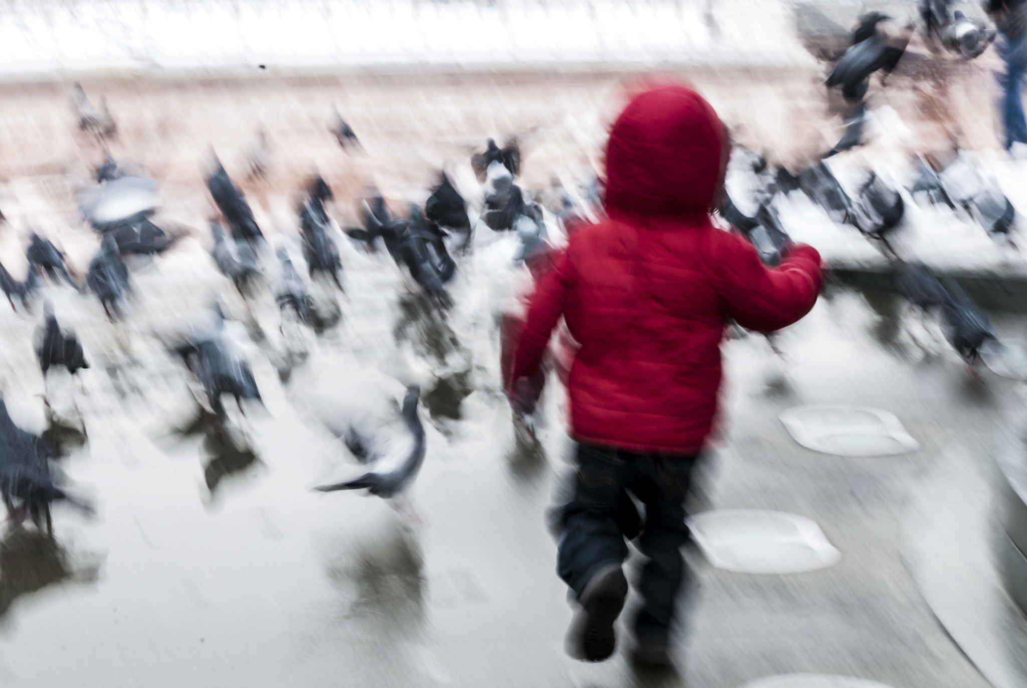 Nikon D200 sample photo. Chasing pigeons photography