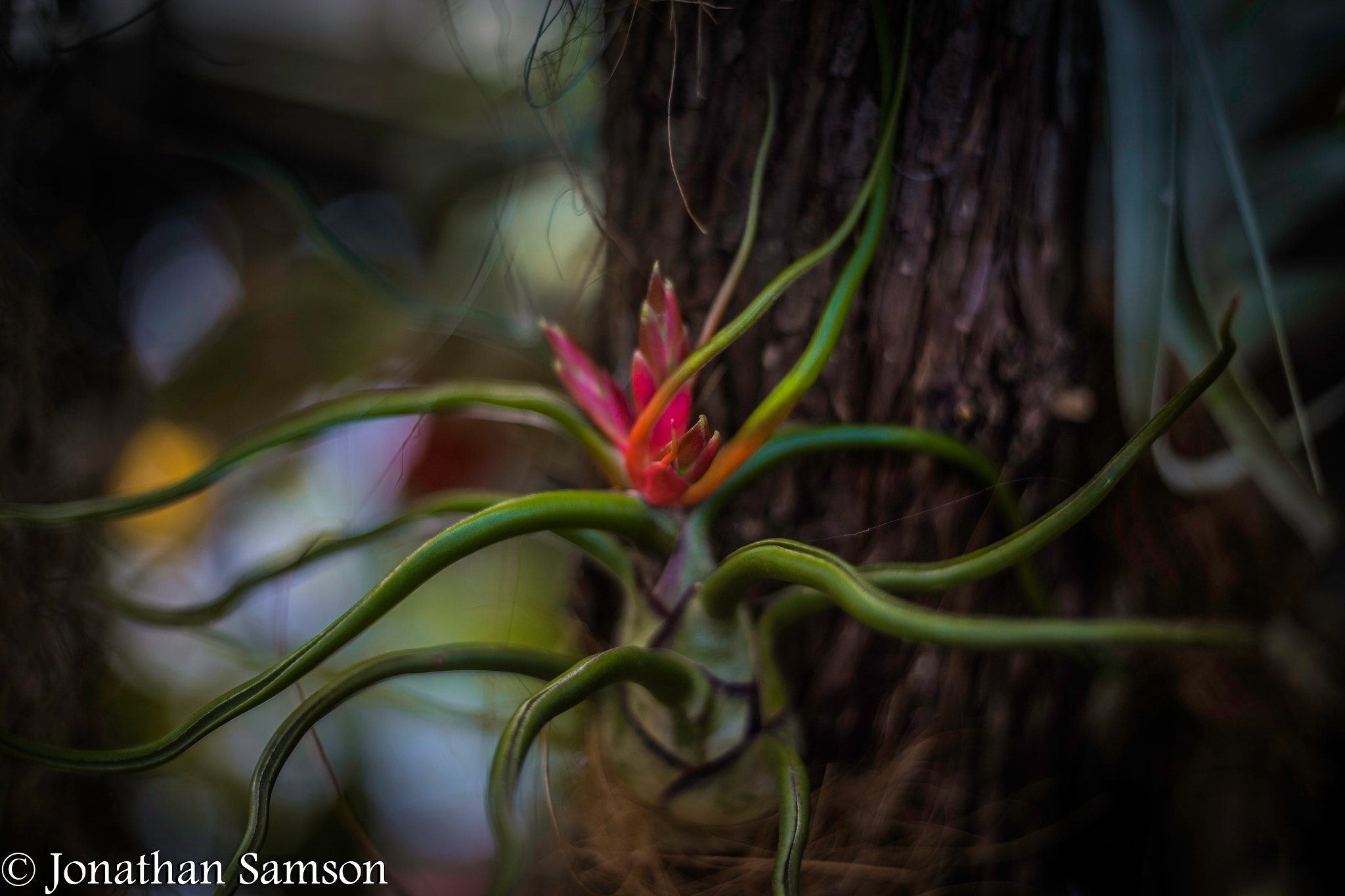 Canon EOS 6D + Canon EF 50mm f/1.8 sample photo. 16042016-img_0014.jpg photography