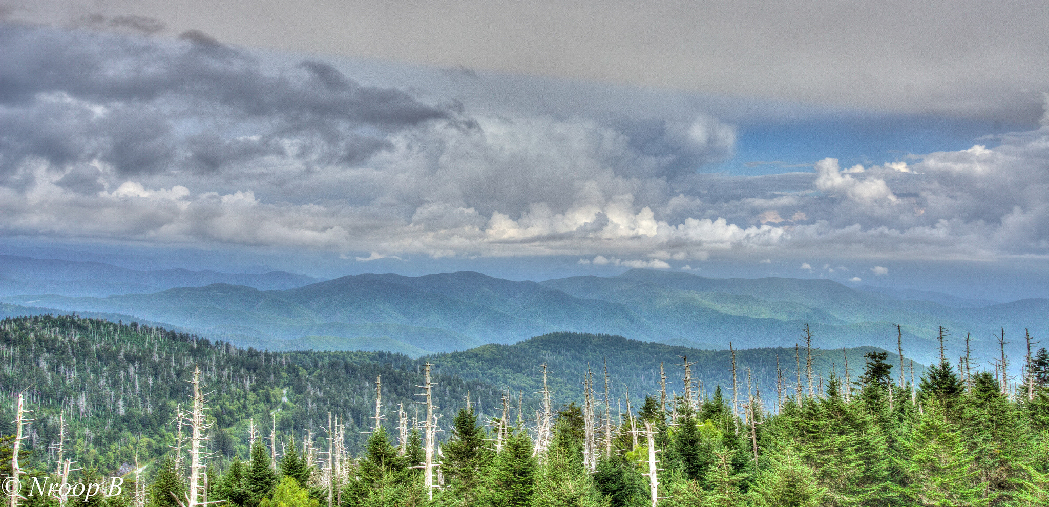 Canon EF-S 10-18mm F4.5–5.6 IS STM sample photo. The highest point in the smokies... indeed smoky! photography