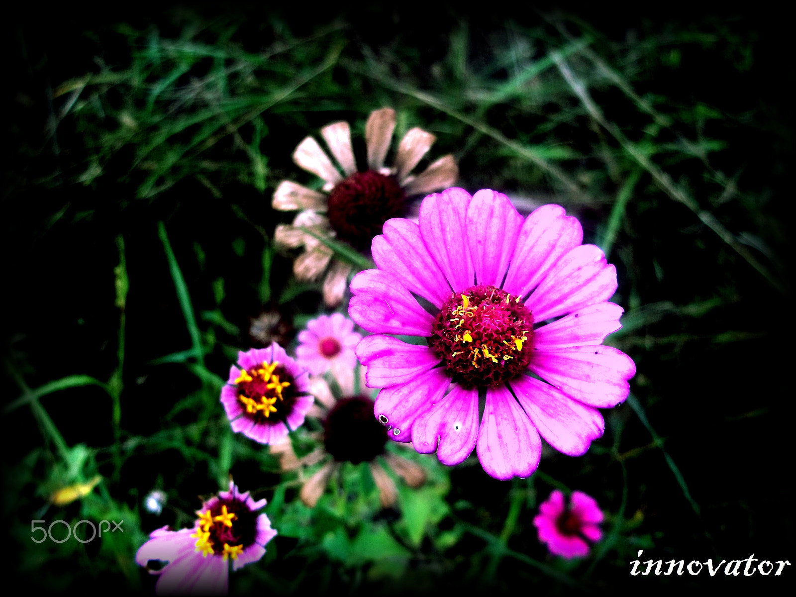 Kodak EASYSHARE M530 DIGITAL CAMERA sample photo. 4.jpg photography
