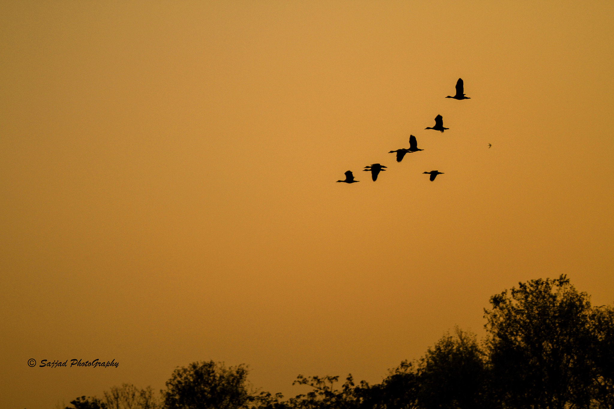 Canon EF 28-80mm f/3.5-5.6 USM sample photo. Return home photography