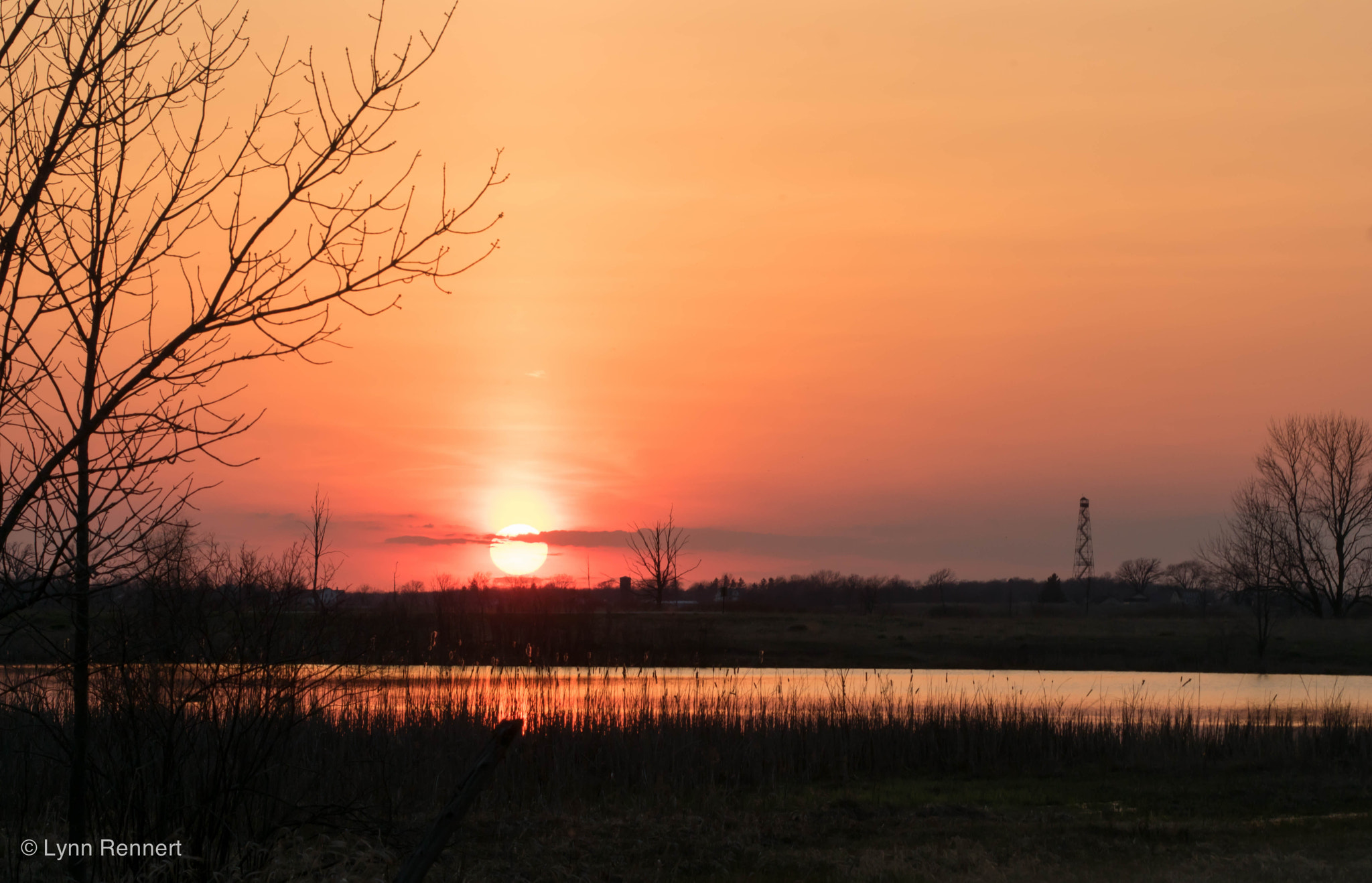 Sony 75-300mm F4.5-5.6 sample photo. Collins marsh and sunset photography