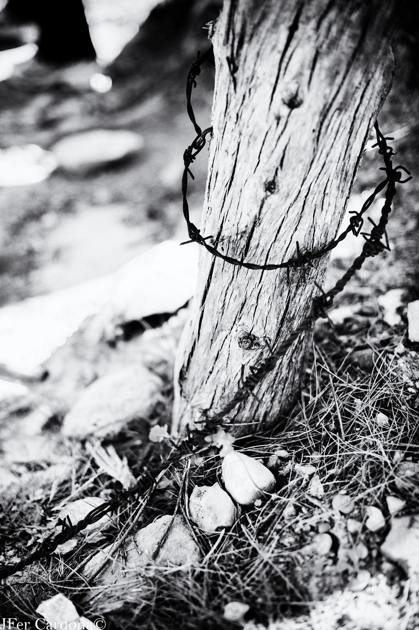 Nikon Df + Nikon AF-S Nikkor 50mm F1.4G sample photo. Wwi remains in gallipoli photography