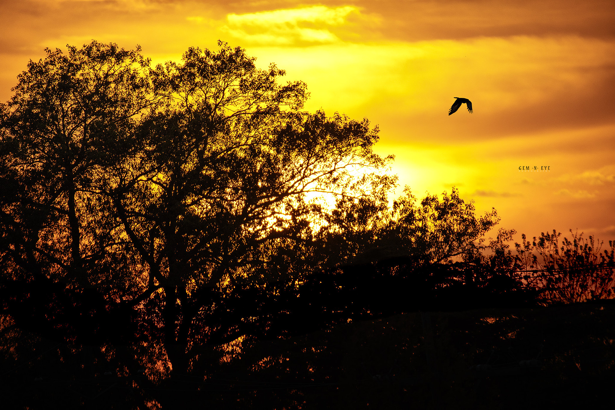 Sigma 150-600mm F5-6.3 DG OS HSM | C sample photo. Sky photography