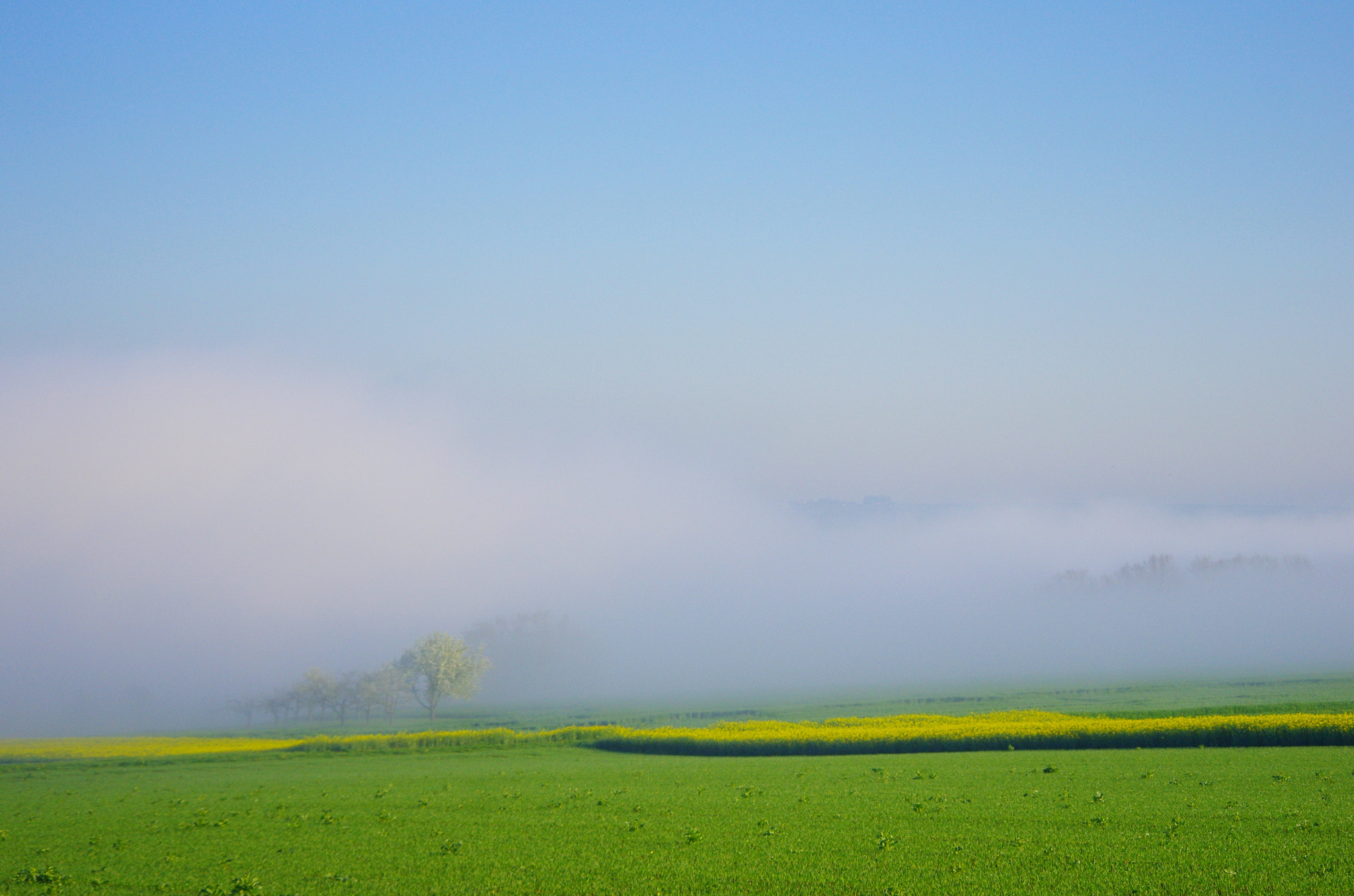 smc PENTAX-DA L 55-300mm F4-5.8 ED sample photo. Morning mist photography