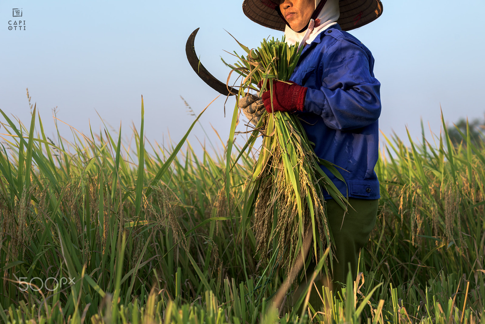 Nikon D810 + Nikon AF Nikkor 105mm F2D DC sample photo. Ninh binh photography