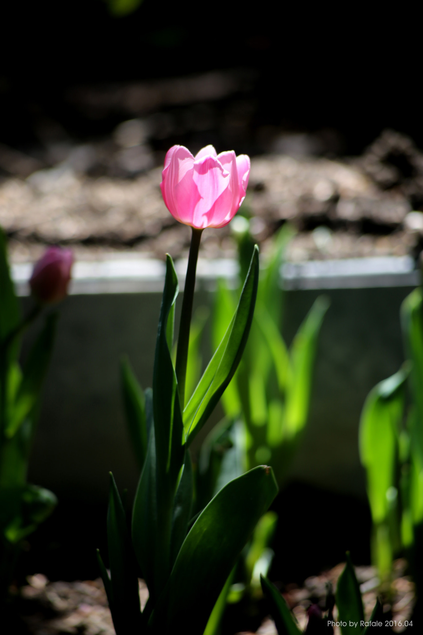 Canon EF 70-210mm f/3.5-4.5 USM sample photo