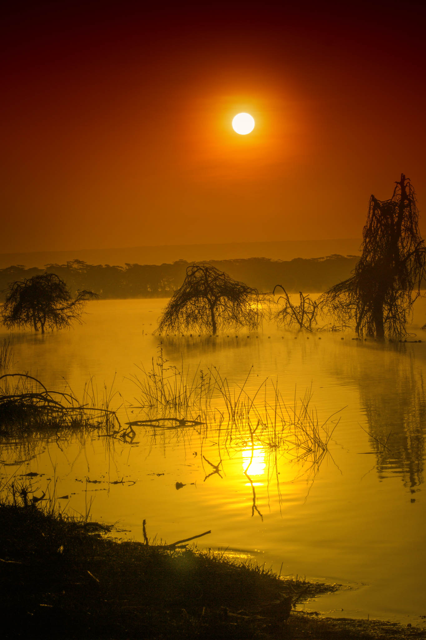 Samsung NX1 + Samsung NX 85mm F1.4 ED SSA sample photo. Morning sunrise at lake oloiden photography